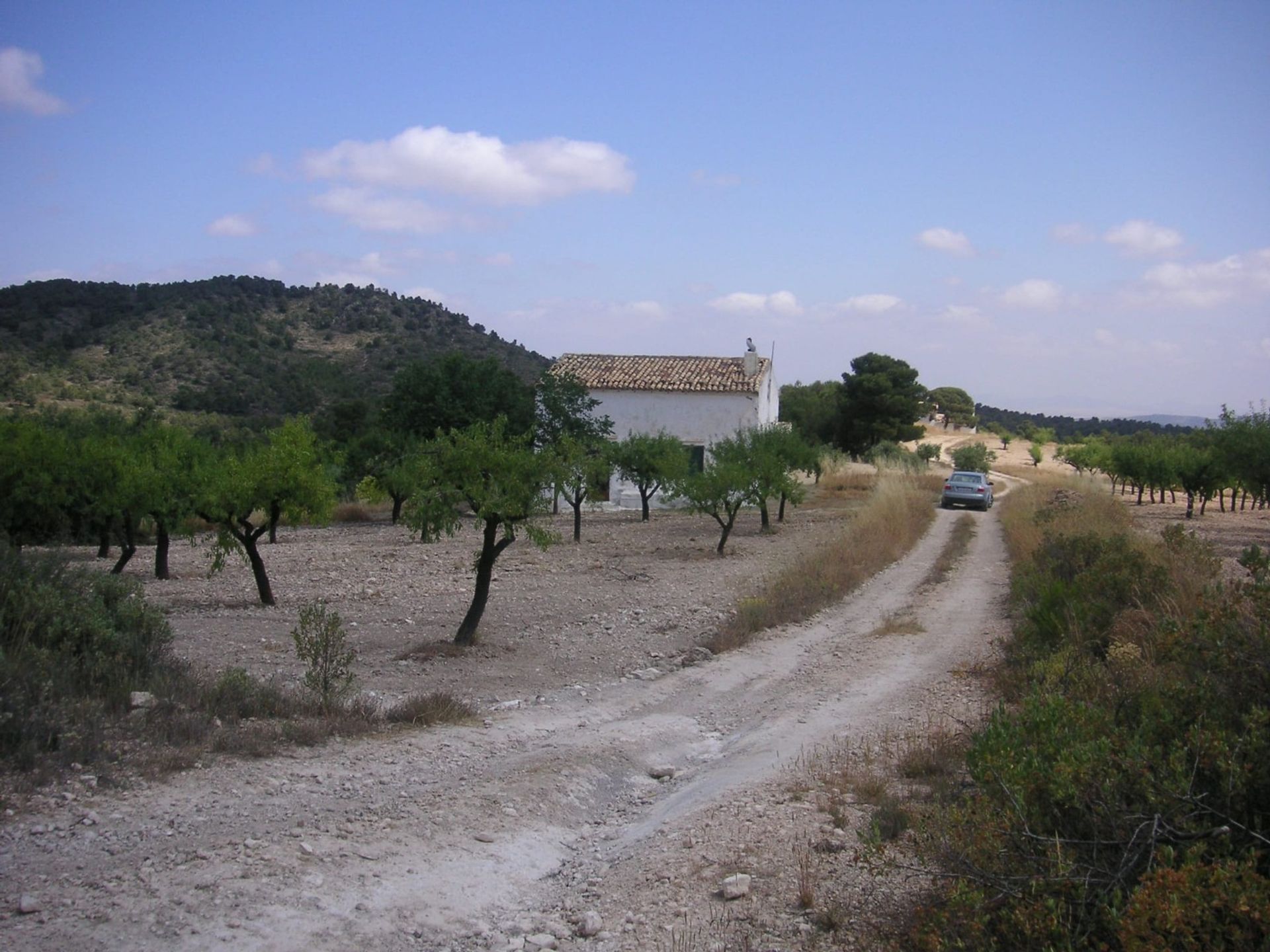 Hus i Villena, Comunidad Valenciana 10781759