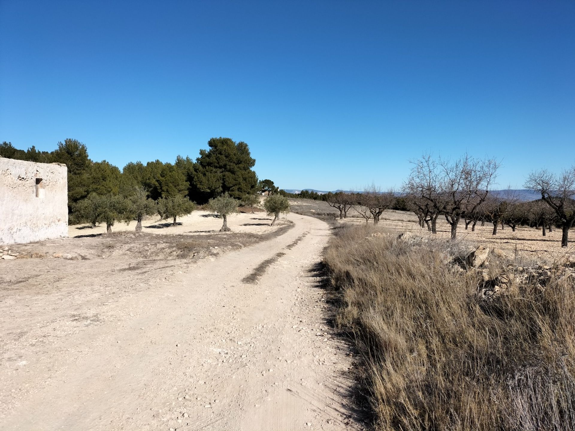 Hus i Villena, Comunidad Valenciana 10781759