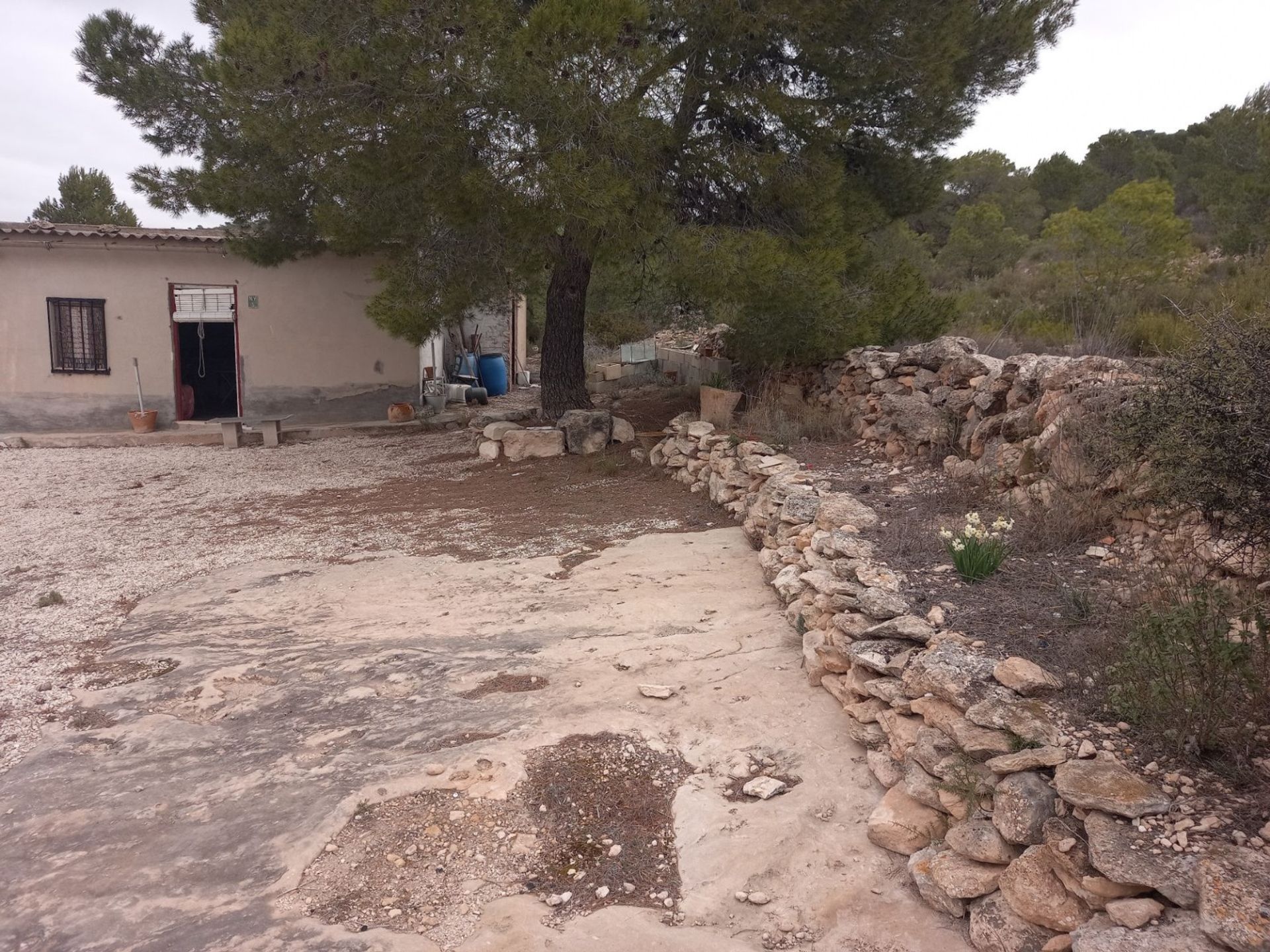 Hus i , Valencian Community 10781760