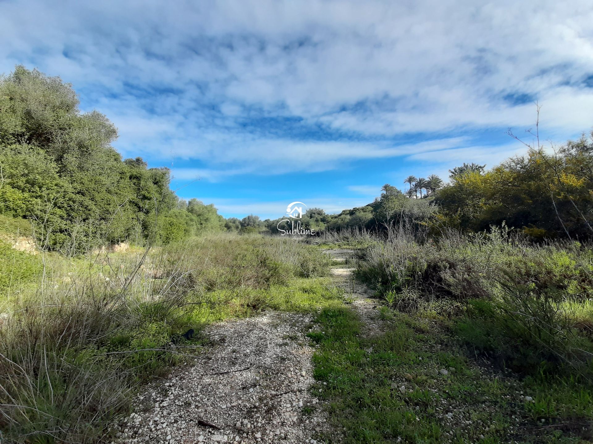 Land in Luz, Faro 10781797