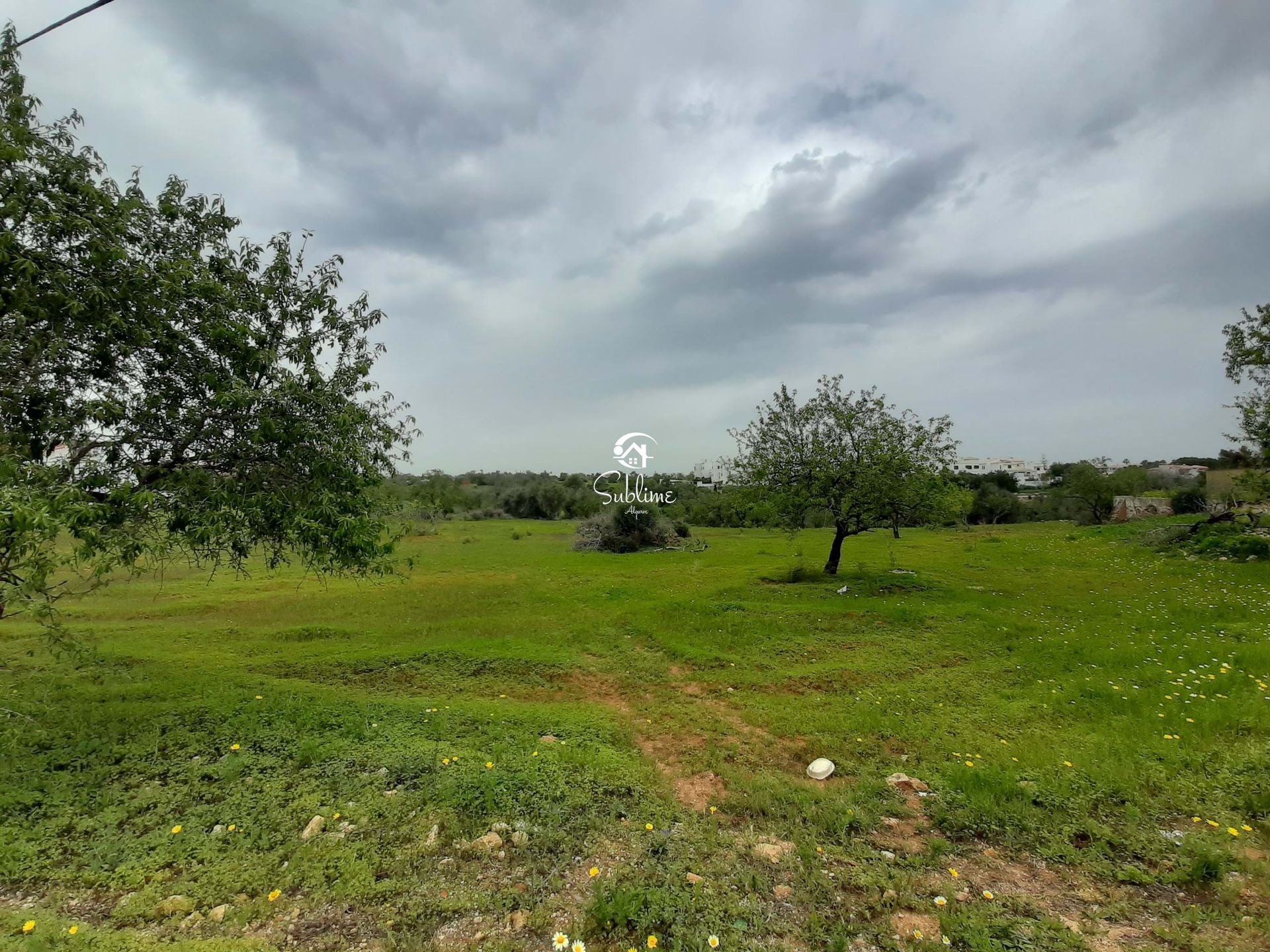 Land in Armação de Pêra, Faro 10781801