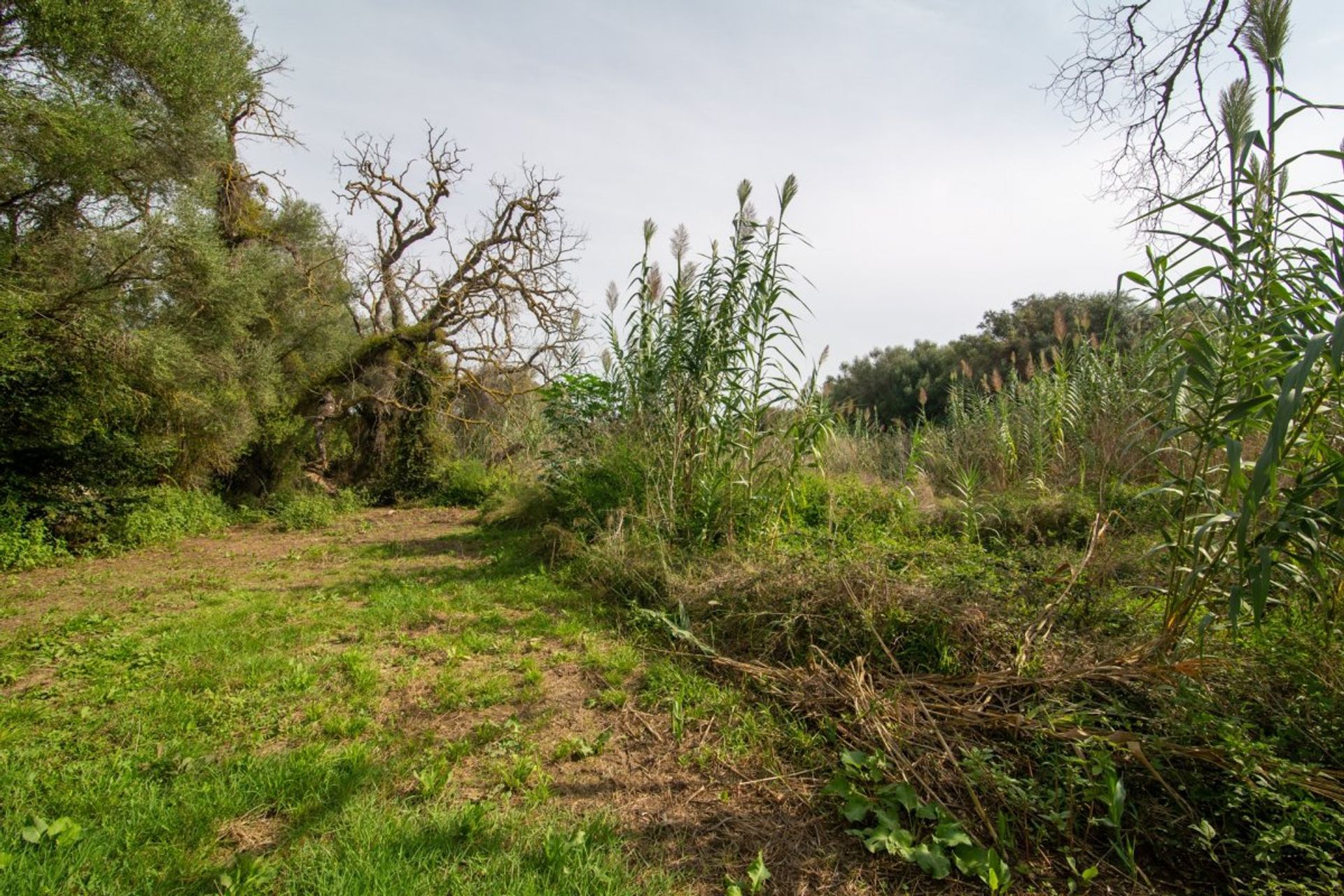 House in Capdepera, Illes Balears 10781883