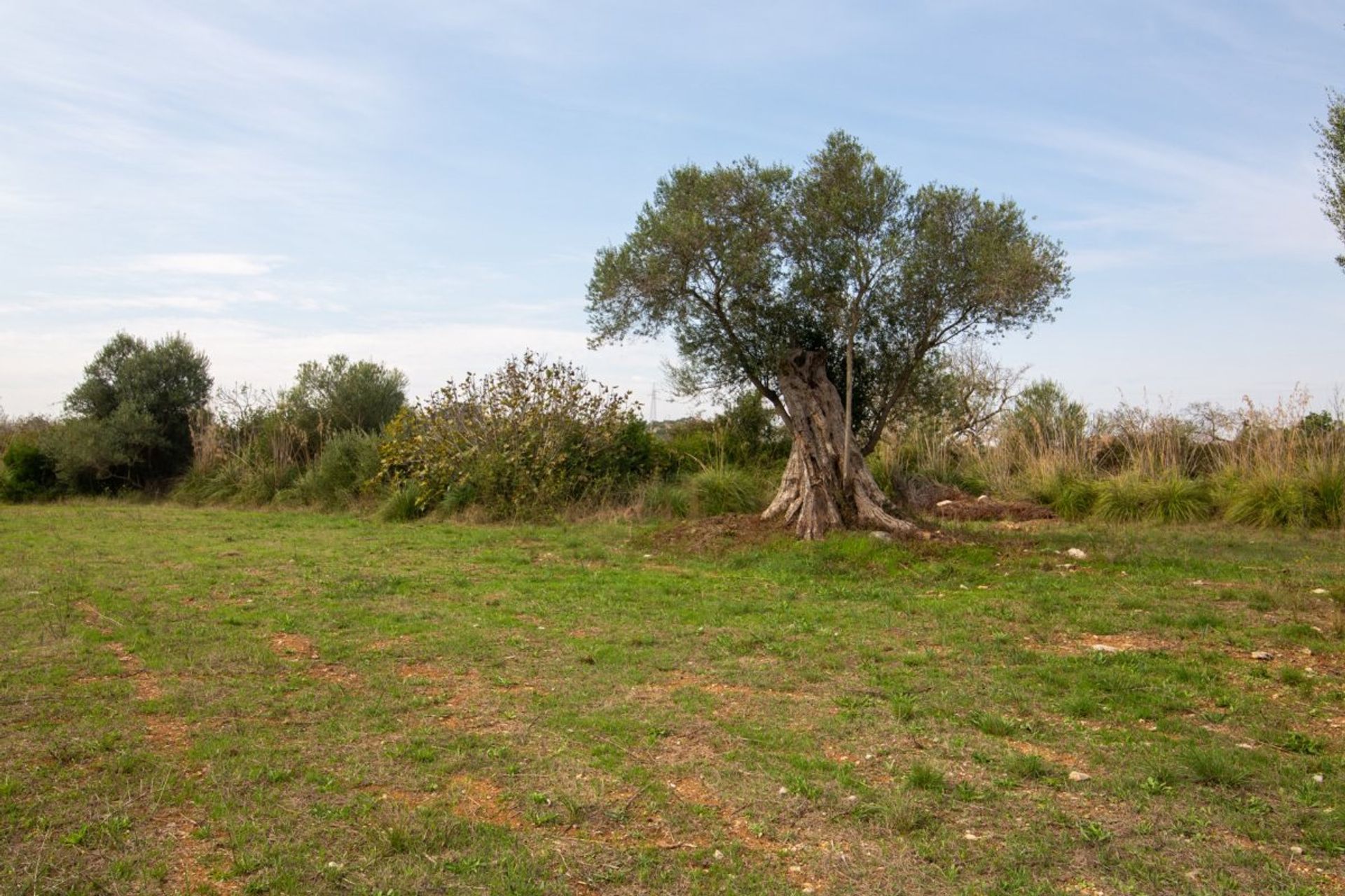 House in Capdepera, Illes Balears 10781883