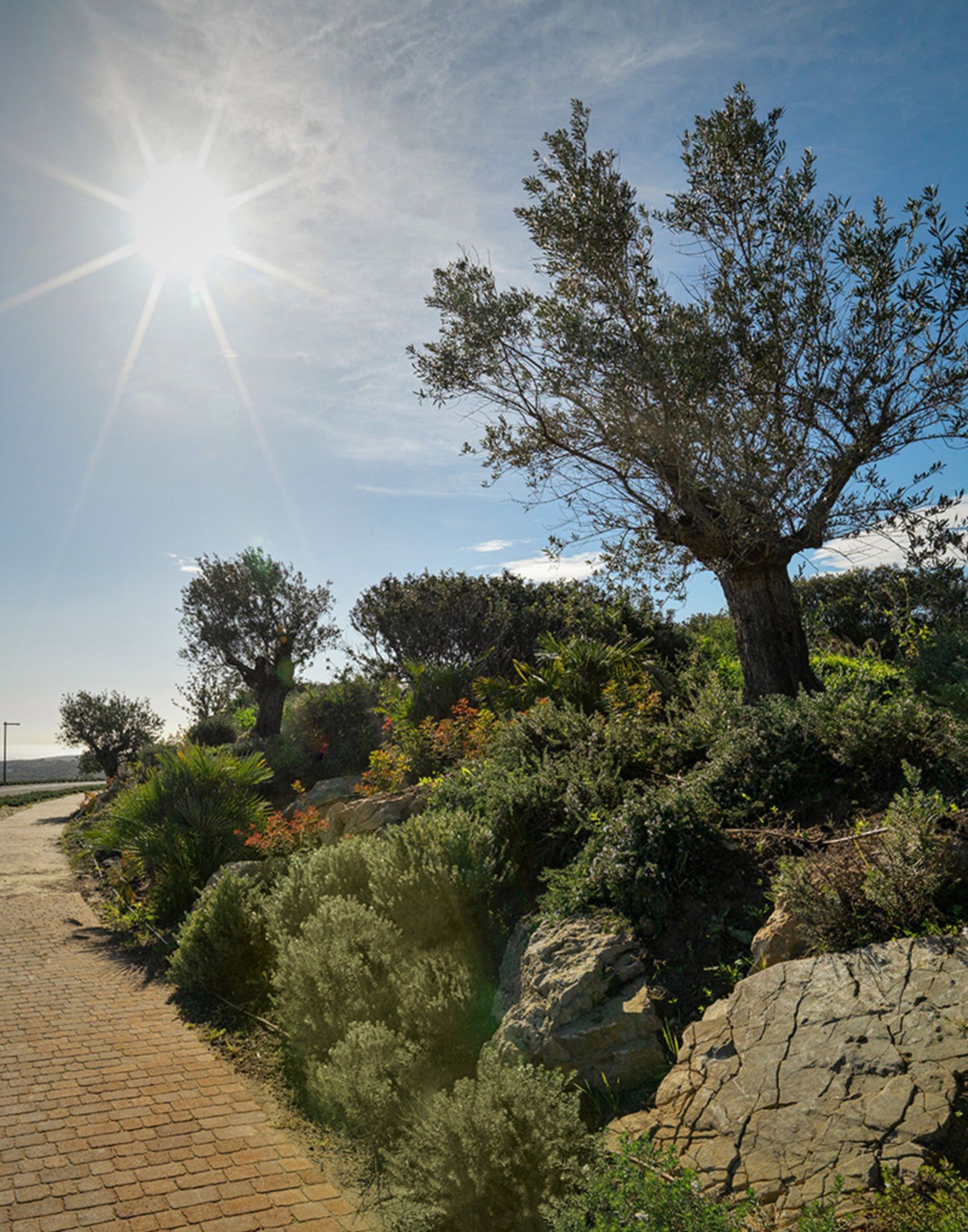 Land im Guadiaro, Andalusien 10781884