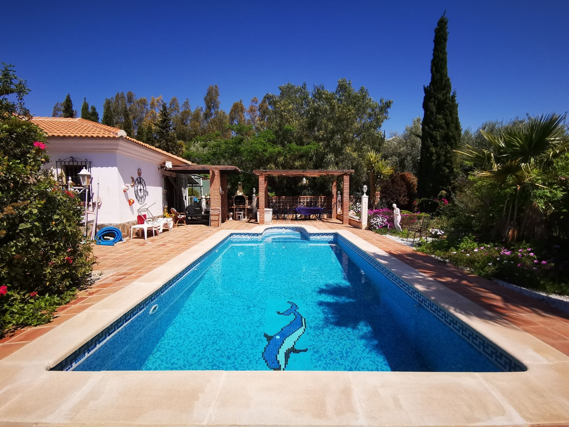 House in Alcaucín, Andalucía 10781980