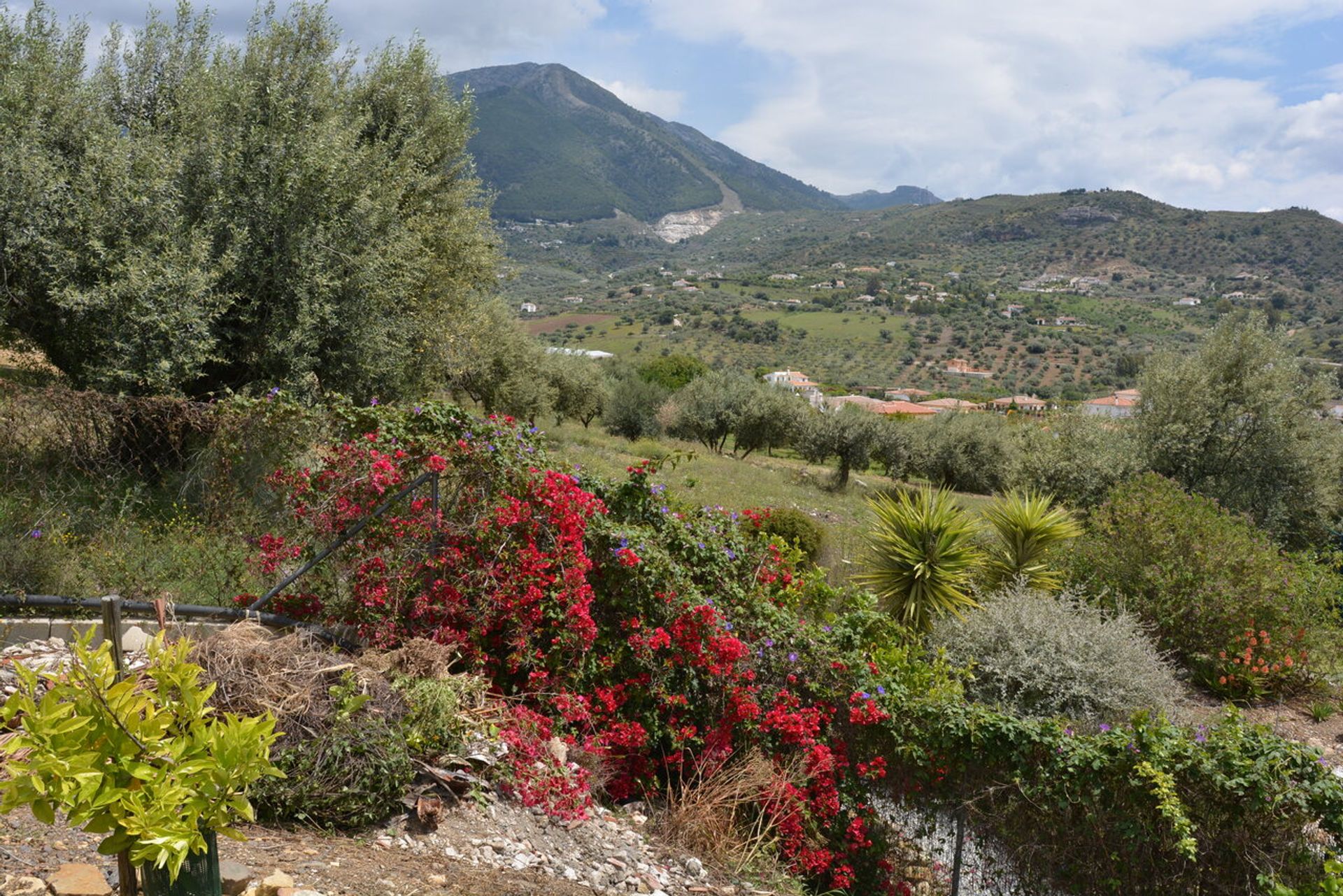 House in Alcaucín, Andalucía 10781980