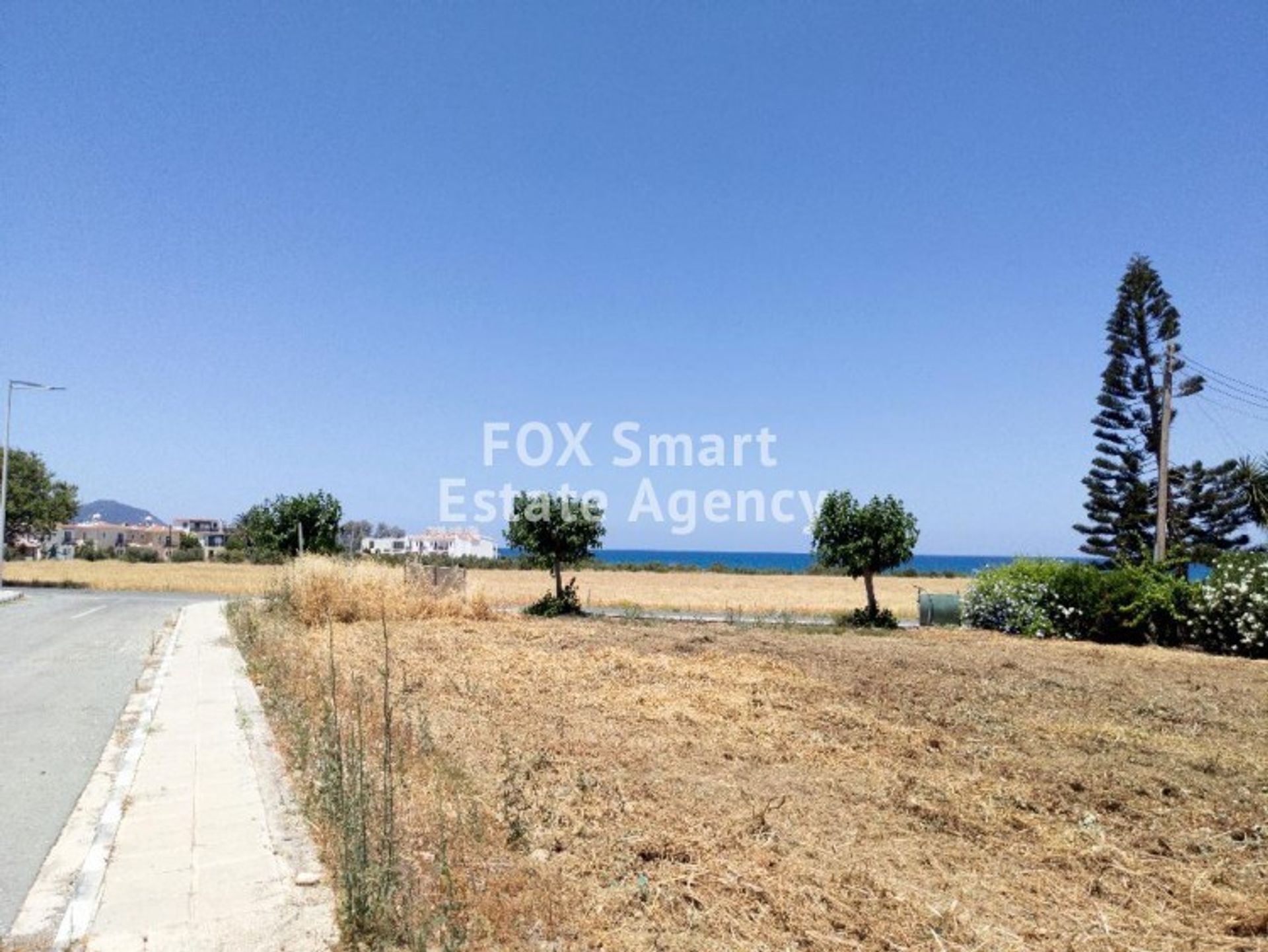 Land im Polis, Pafos 10782185