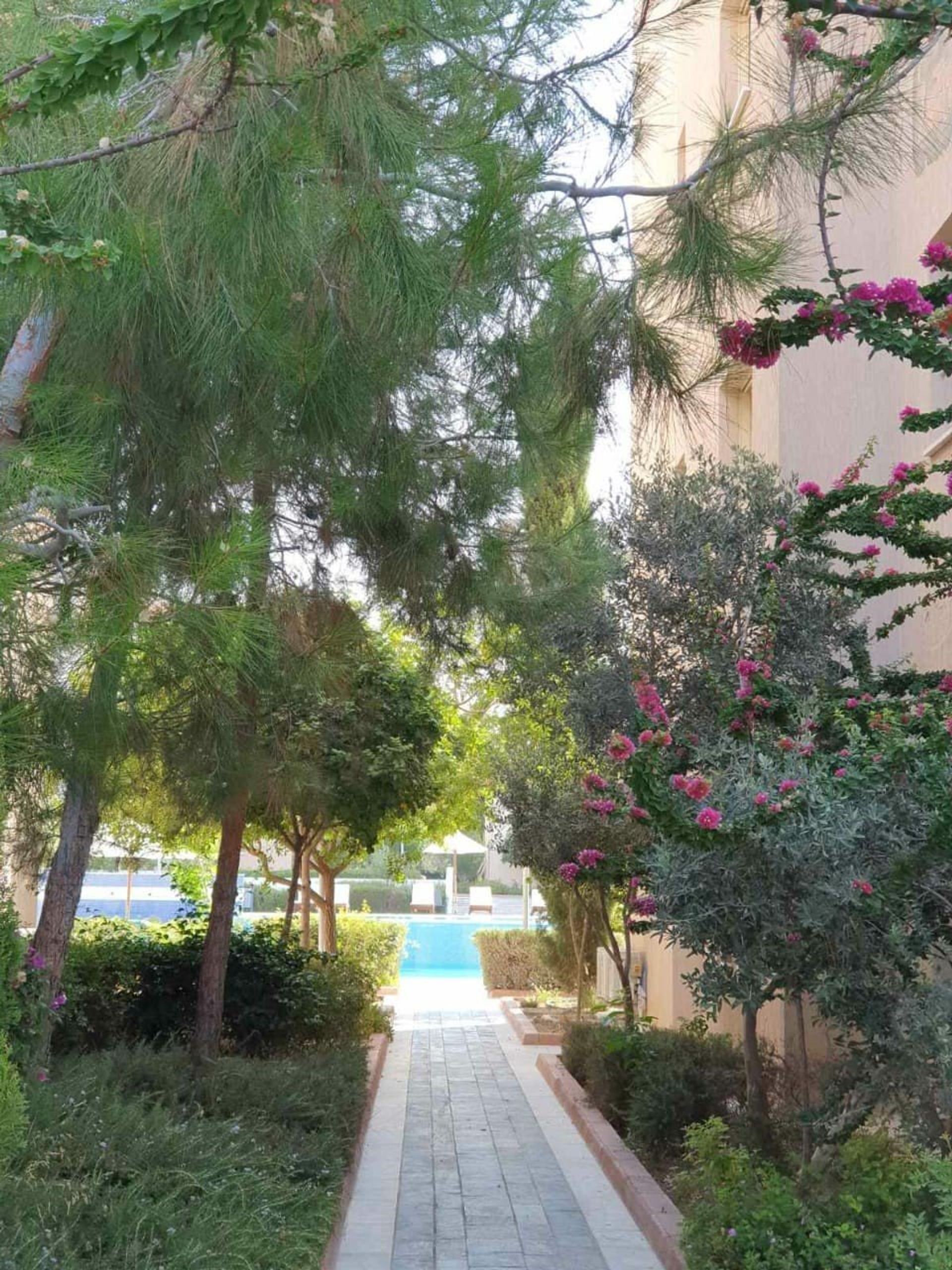 Condominio nel Paphos, Paphos 10782246