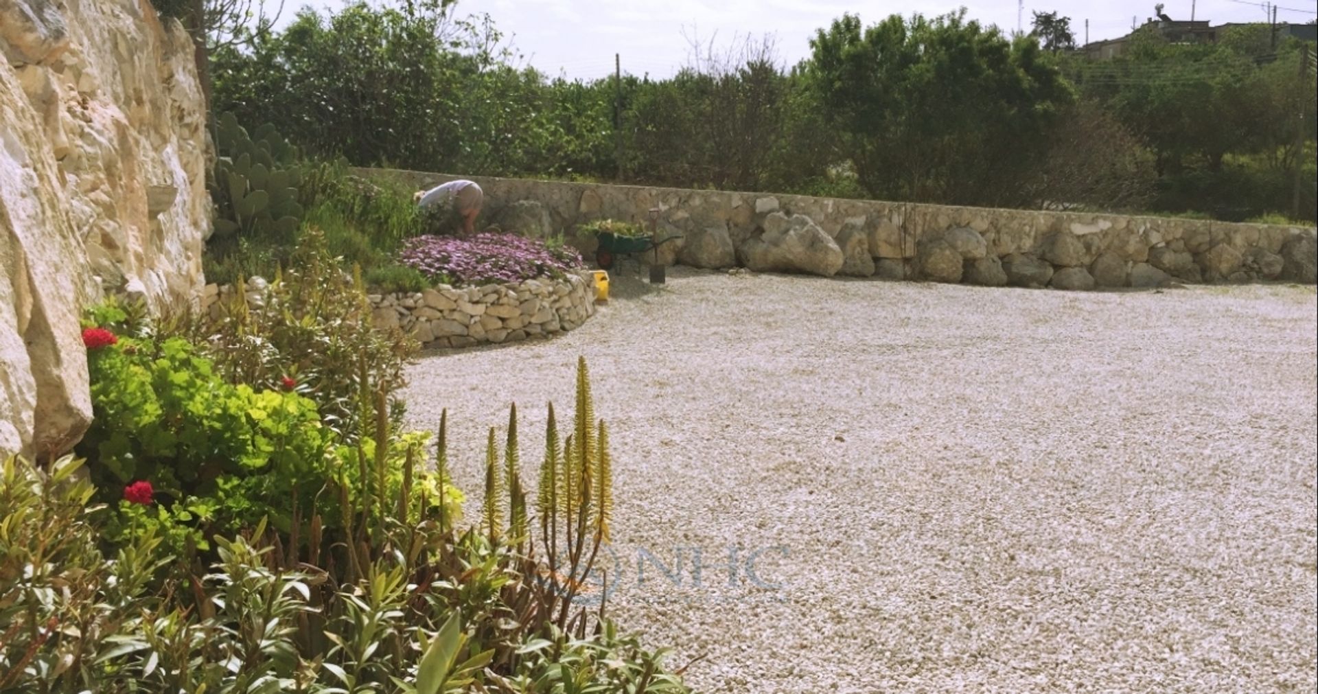 rumah dalam Fyti, Paphos 10782265