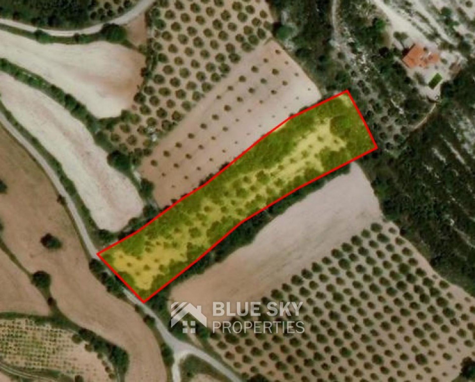 Land i Armou, Paphos 10782727