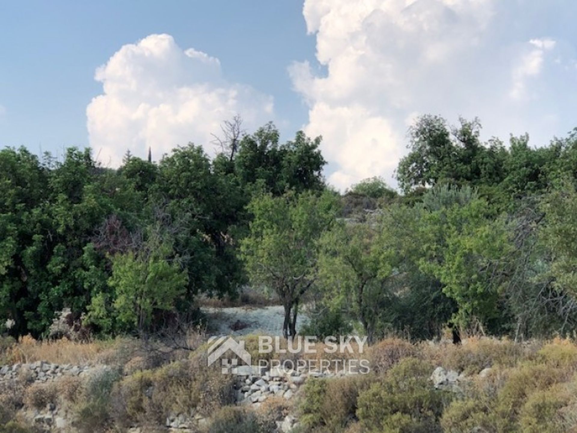 Land in Paramytha, Limassol 10782775