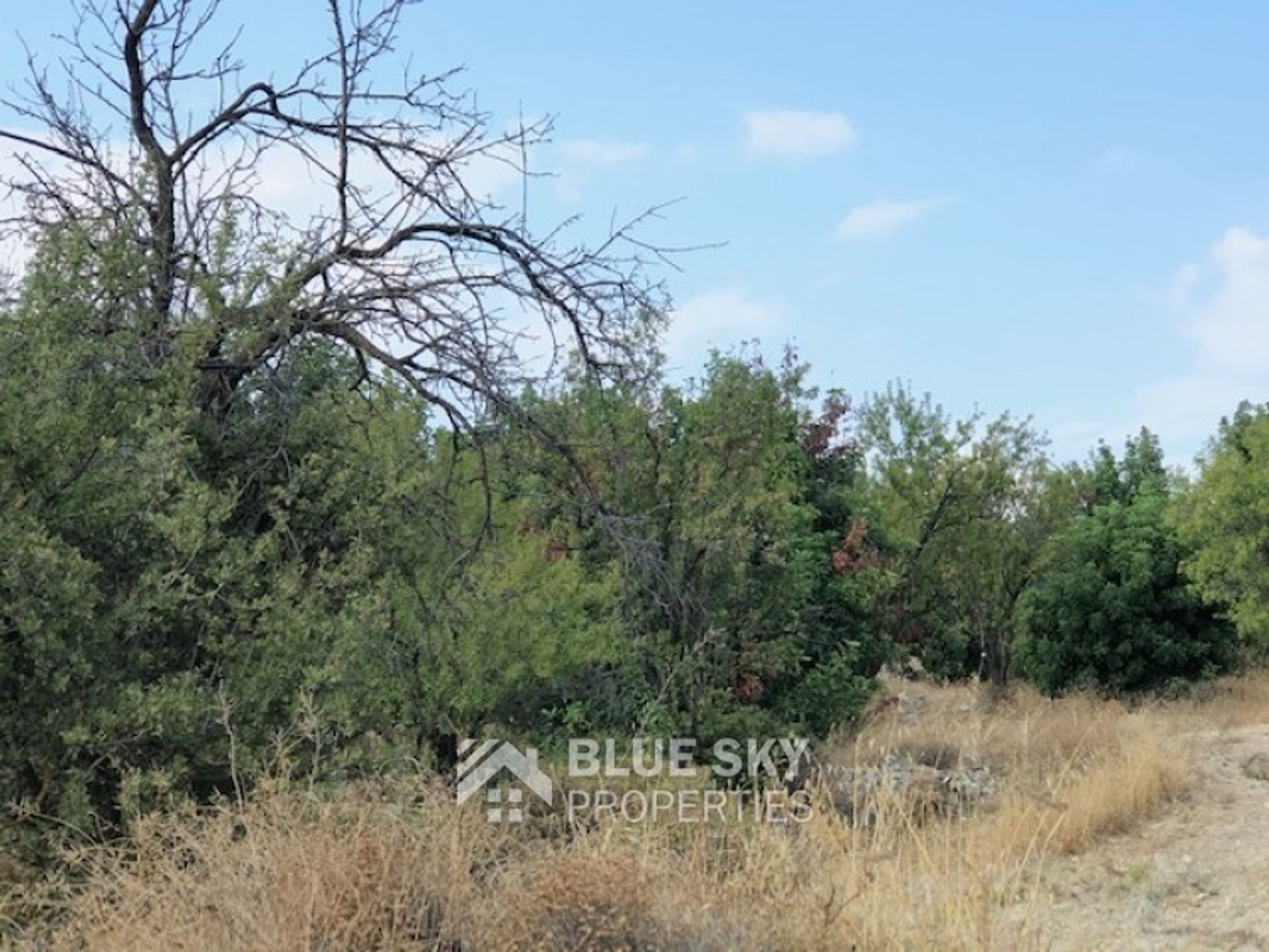 Land in Paramytha, Limassol 10782775