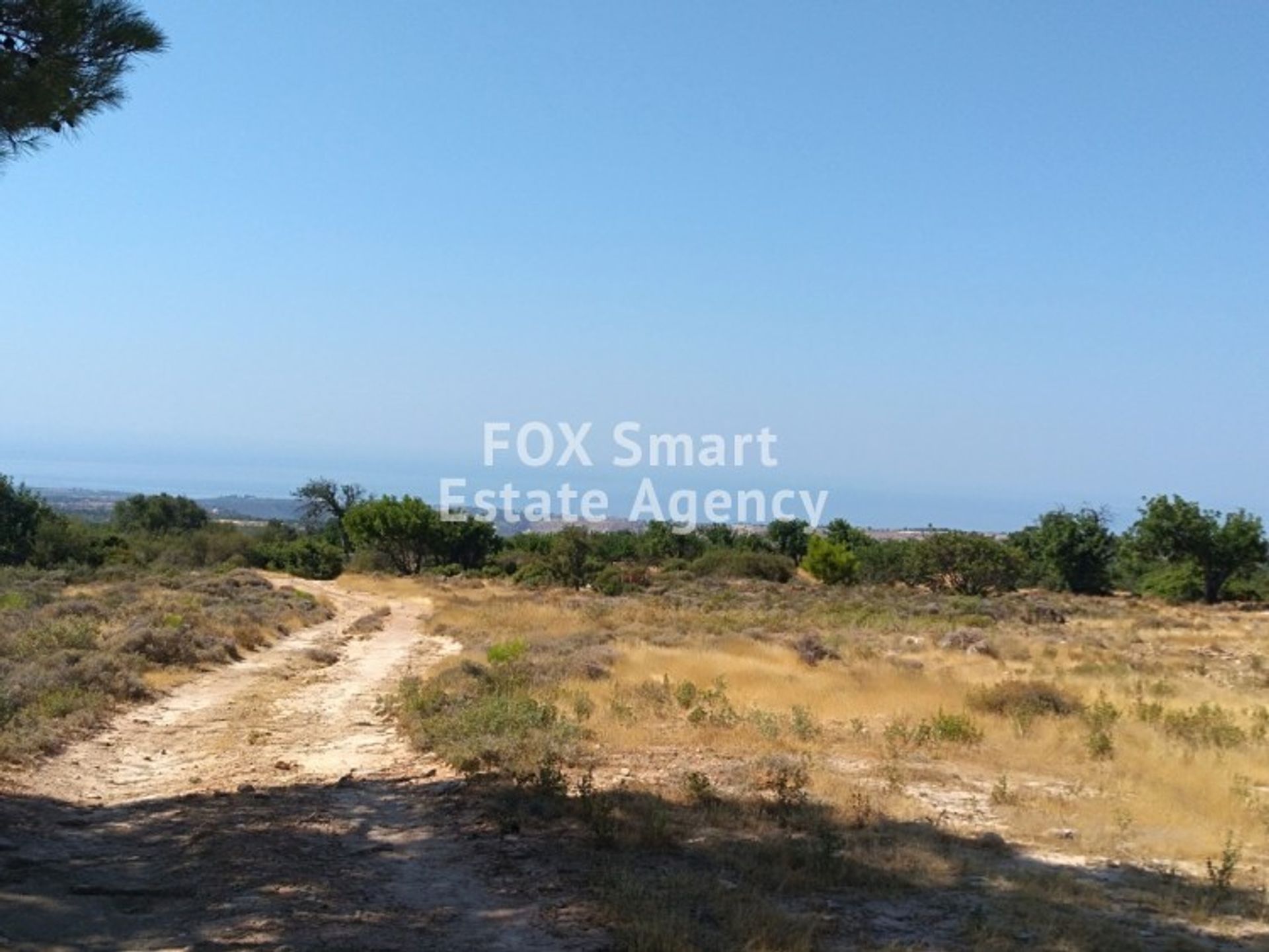 Terre dans Agios Amvrosios, Limassol 10782815