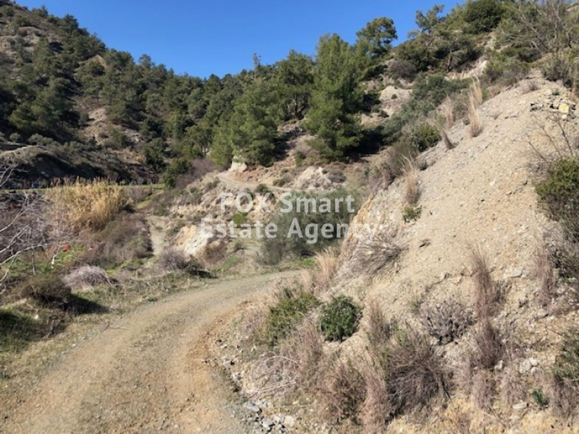 Land in Soularavia, Lemesos 10782823