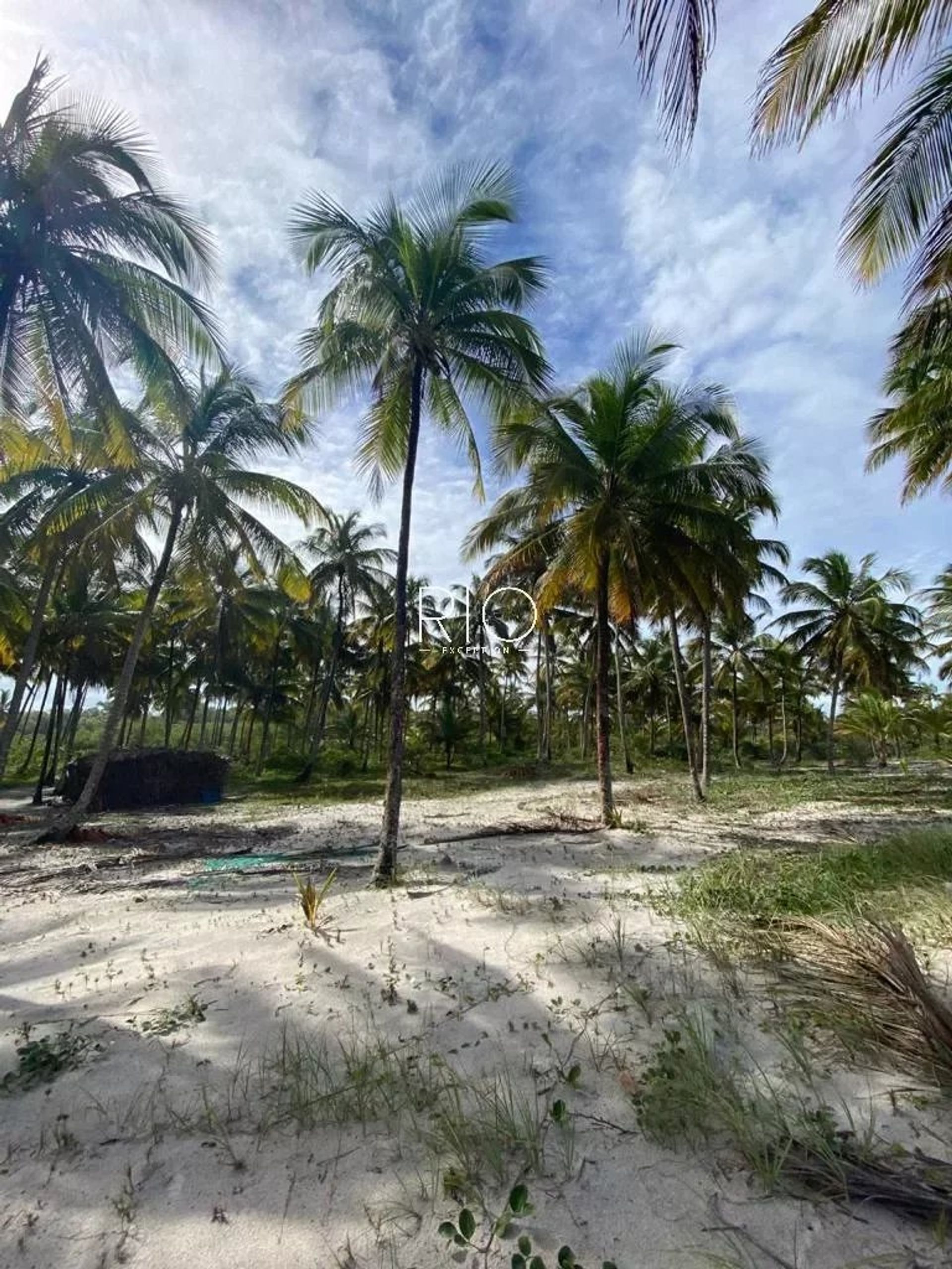 Land i Una, Ilhéus-Itabuna 10782937