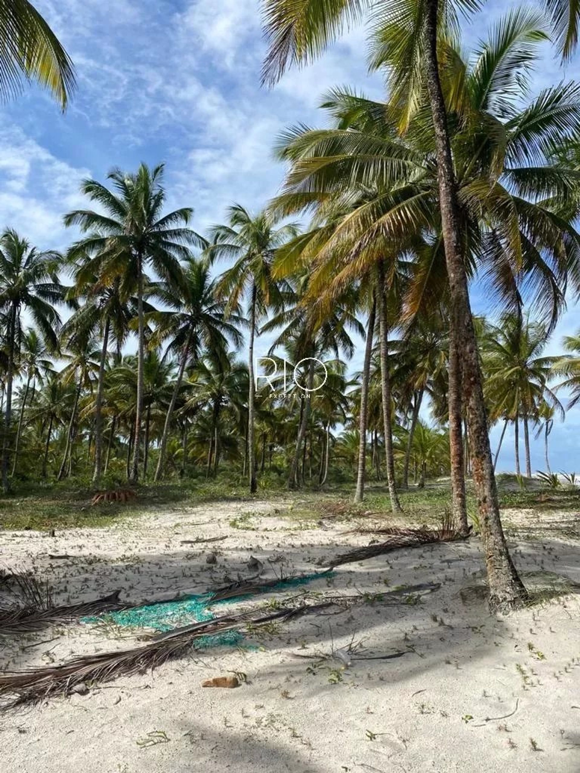 Tierra en una, Bahía 10782937