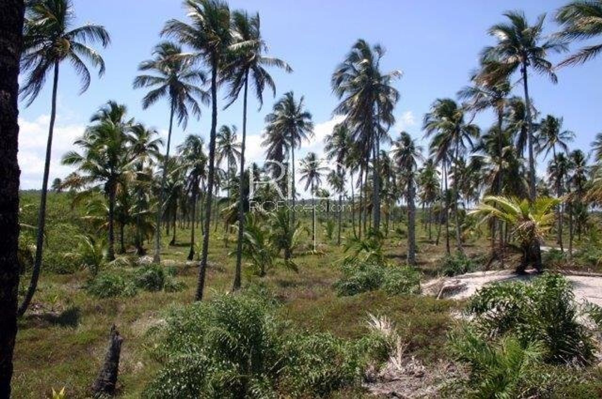 Land i Una, Ilhéus-Itabuna 10782937