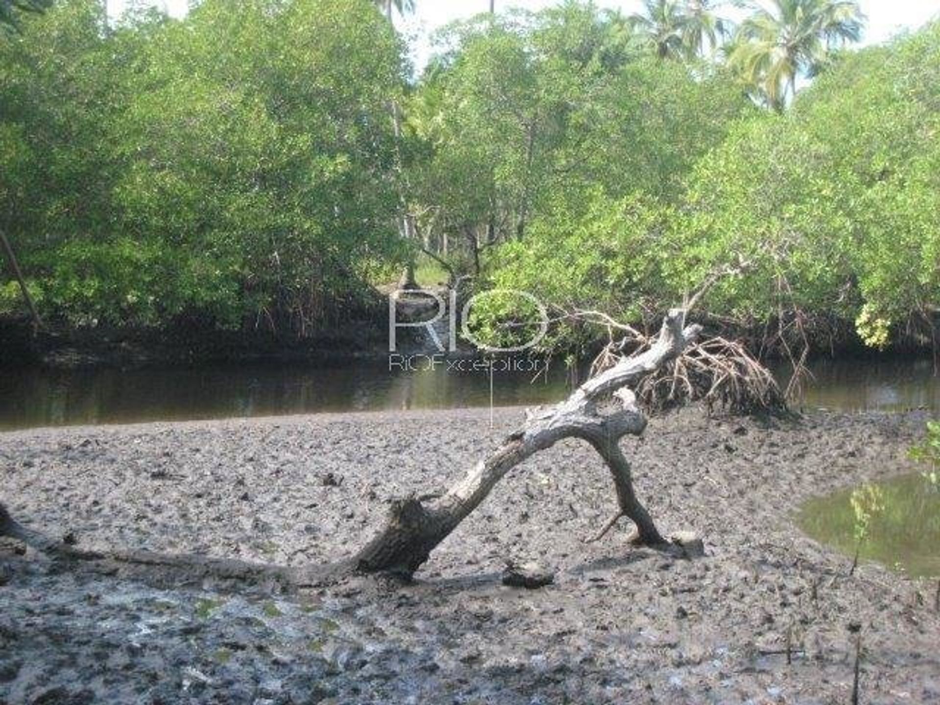 Land im Una, Ilhéus-Itabuna 10782937