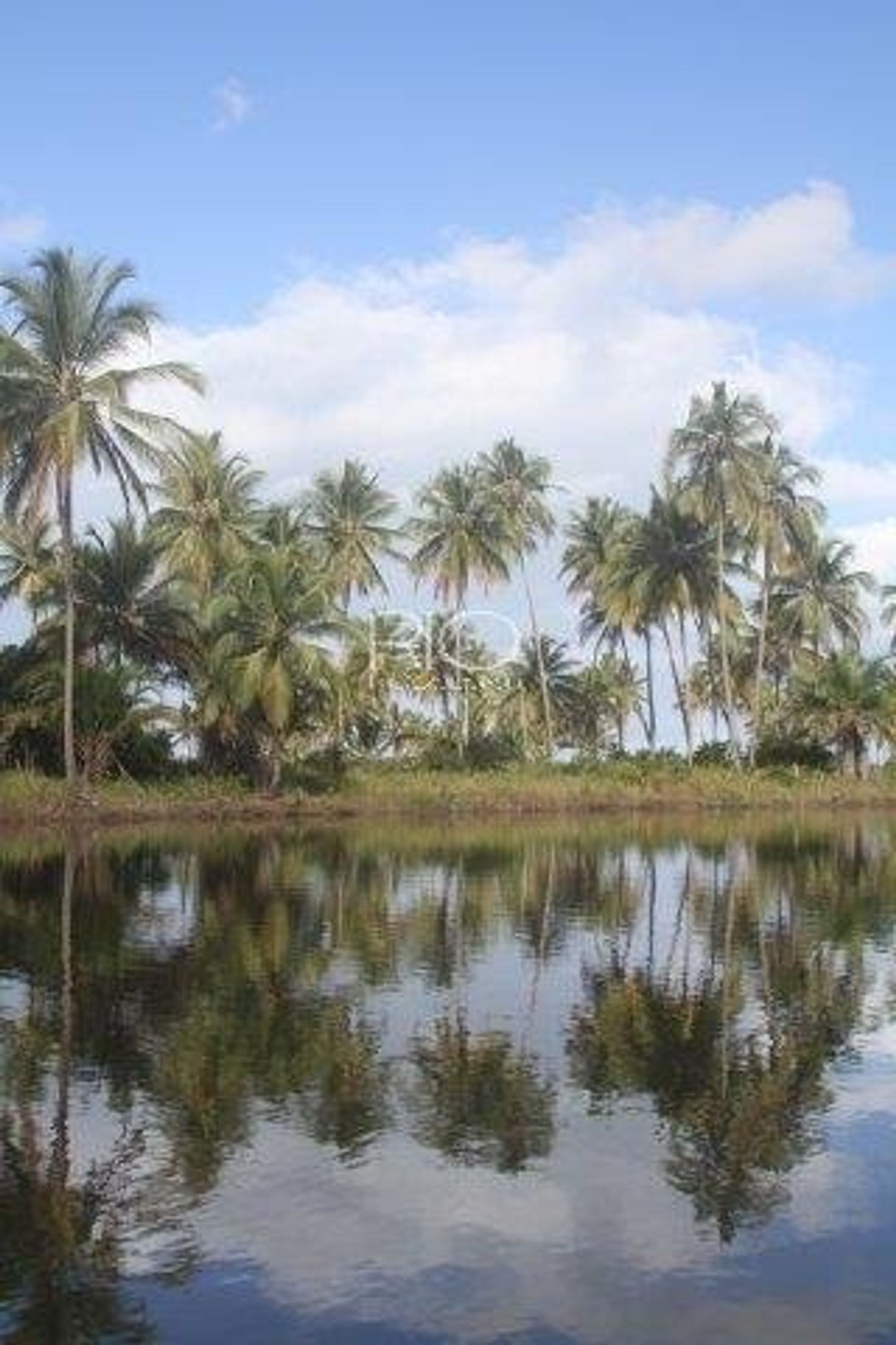 Land i Una, Ilhéus-Itabuna 10782937