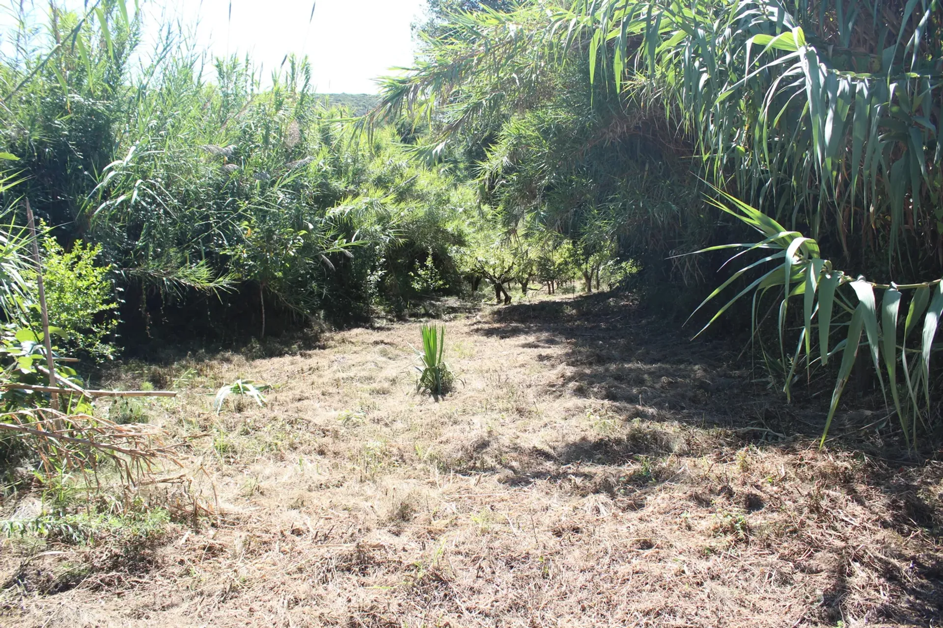 Casa nel , Leiria District 10783021