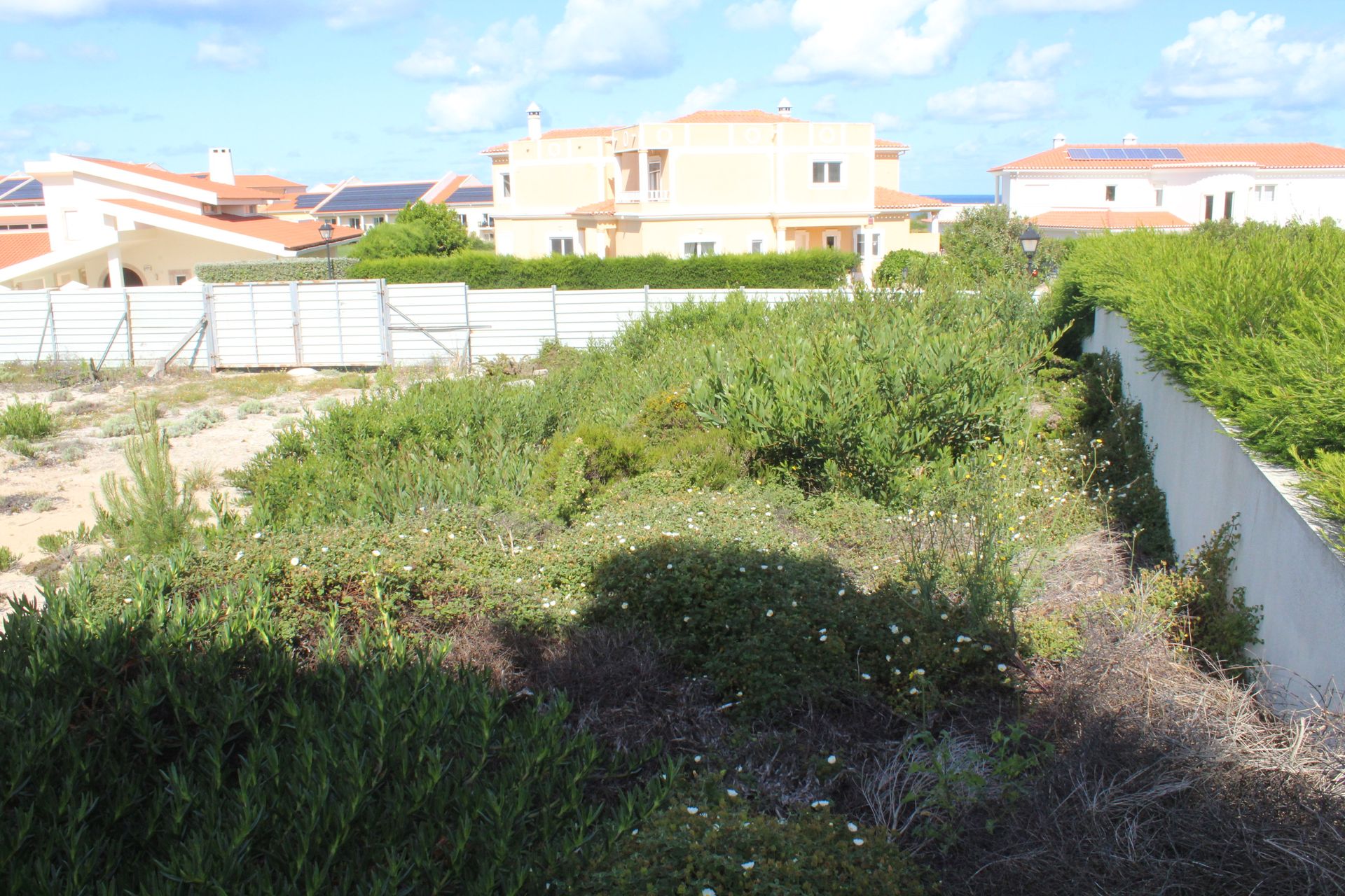 Land in Ferrel, Leiria 10783029