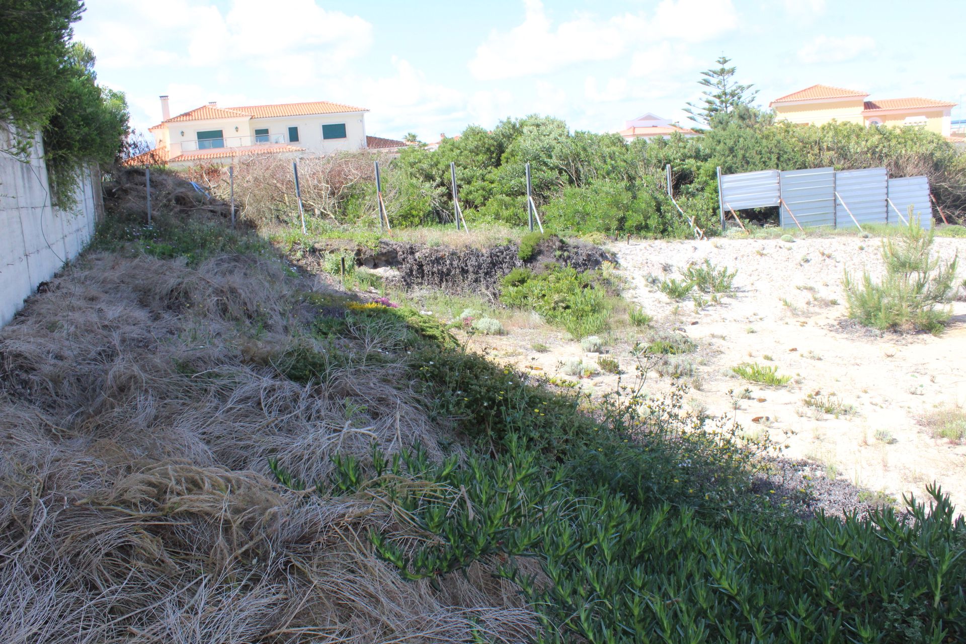 Land in Ferrel, Leiria 10783029