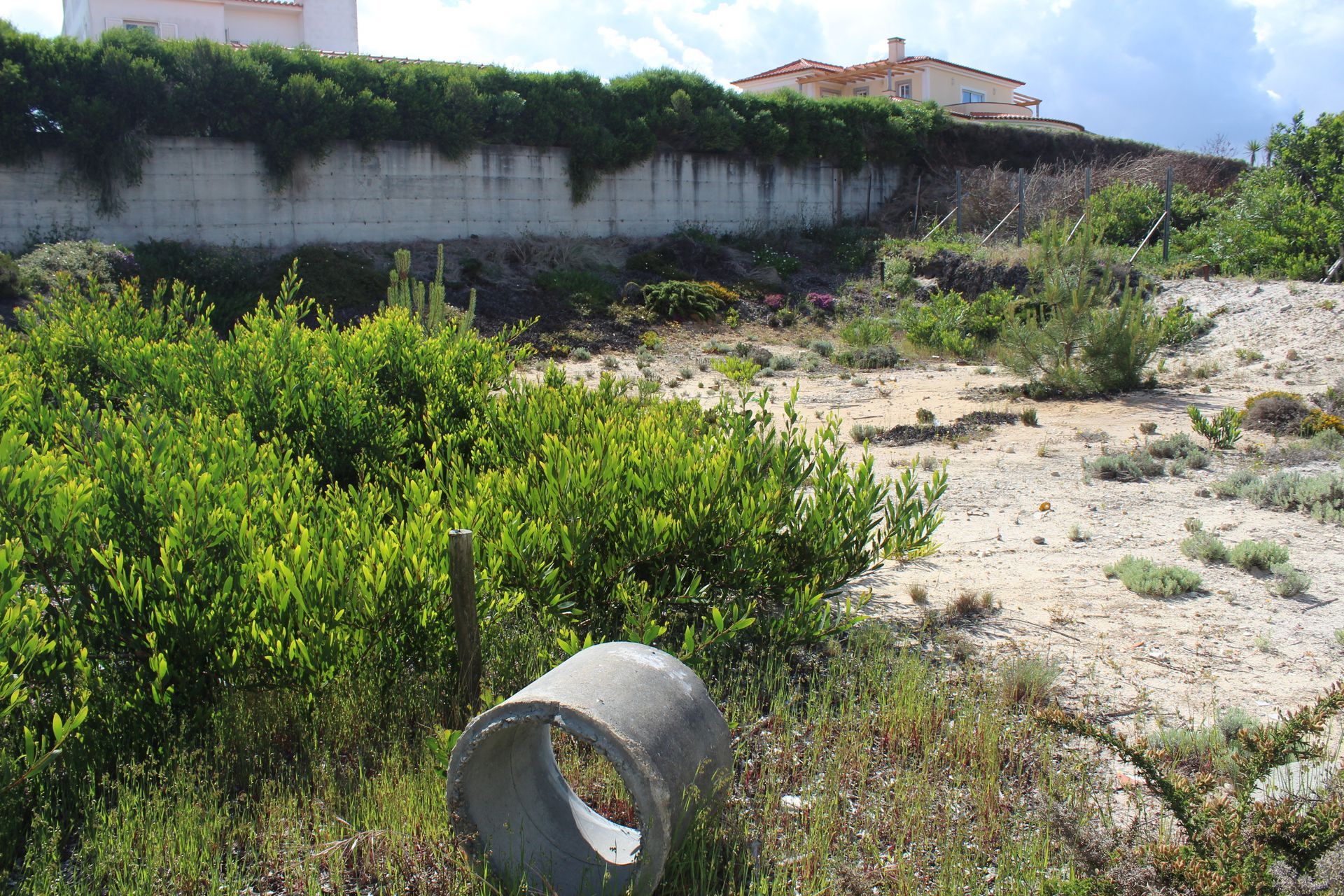 Tierra en Ferrel, Leiría 10783029