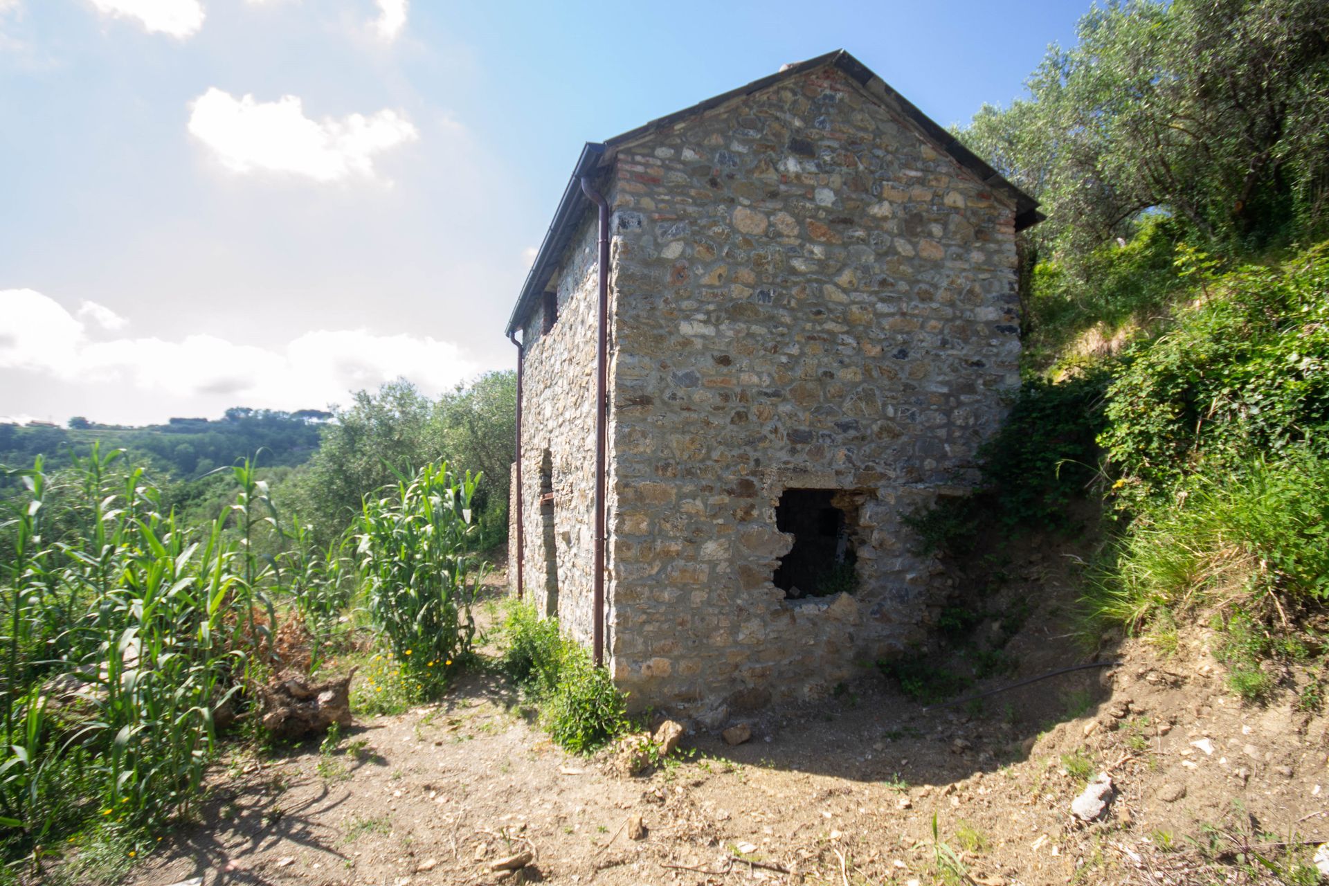 Hus i , Via Falcinello 10785140