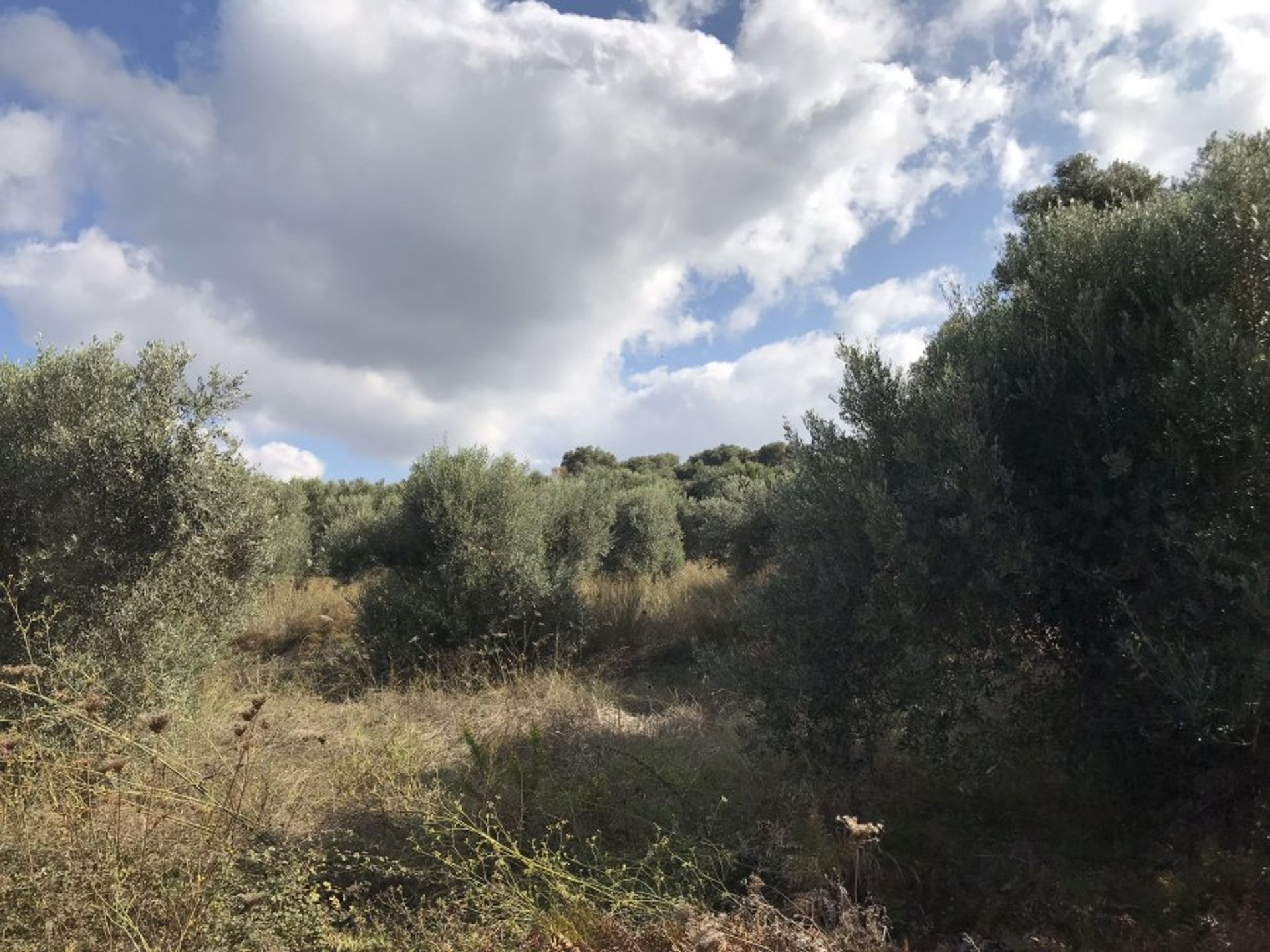 Land in Rethimno,  10785524