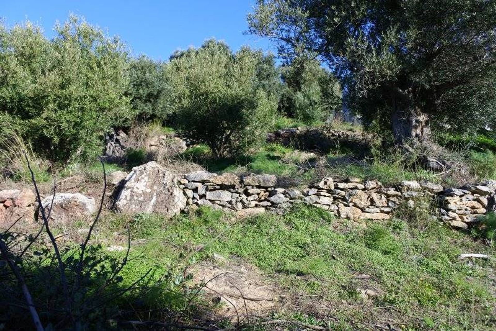 Land in Agios Antonios, Kriti 10785533