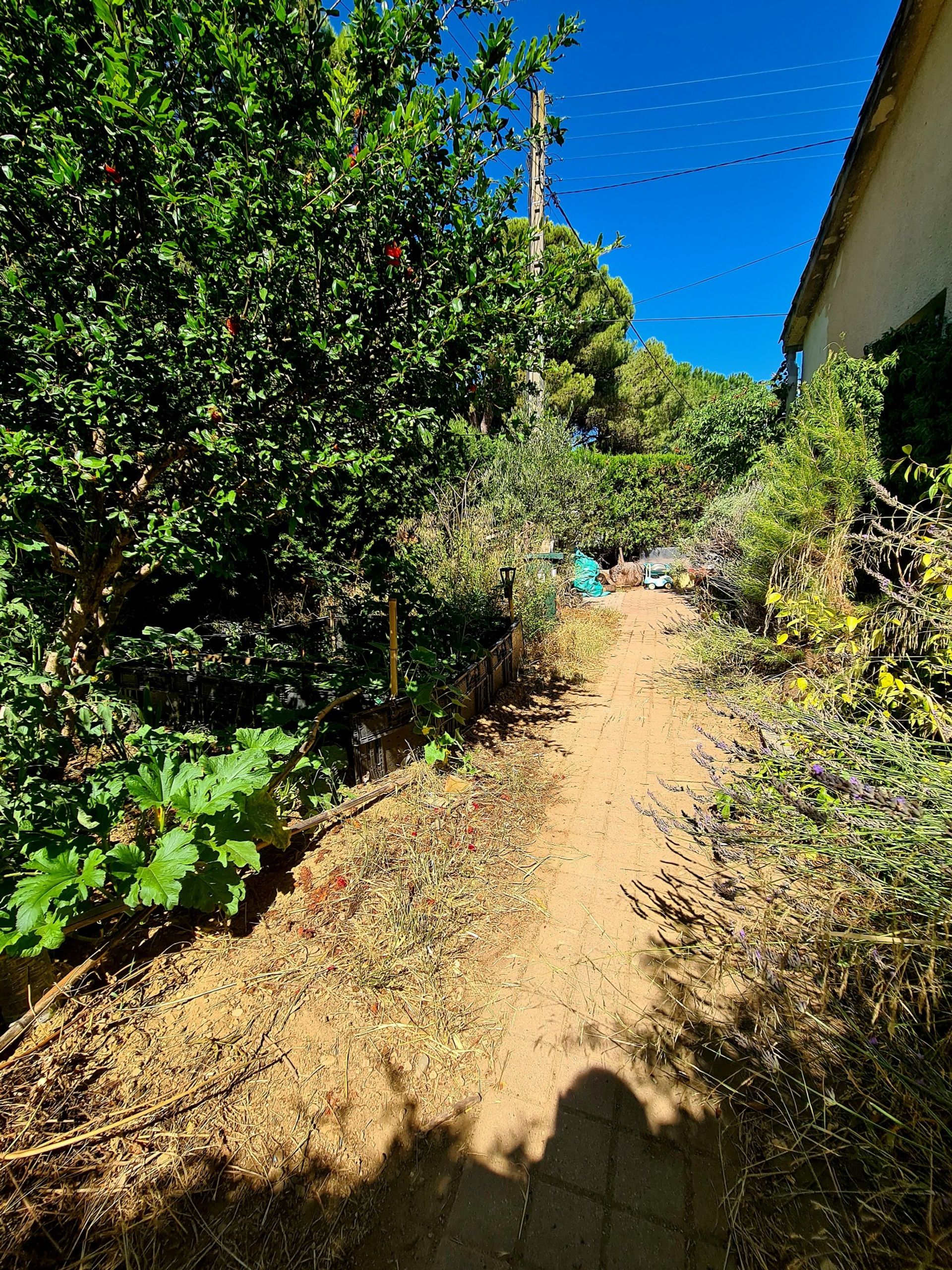 Casa nel Narbonne, Occitania 10785565