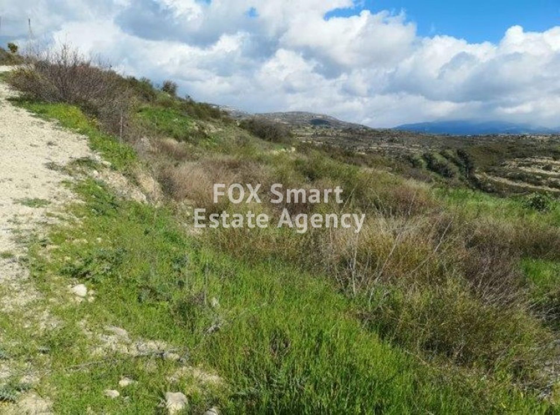 Land in Soularavia, Lemesos 10785730