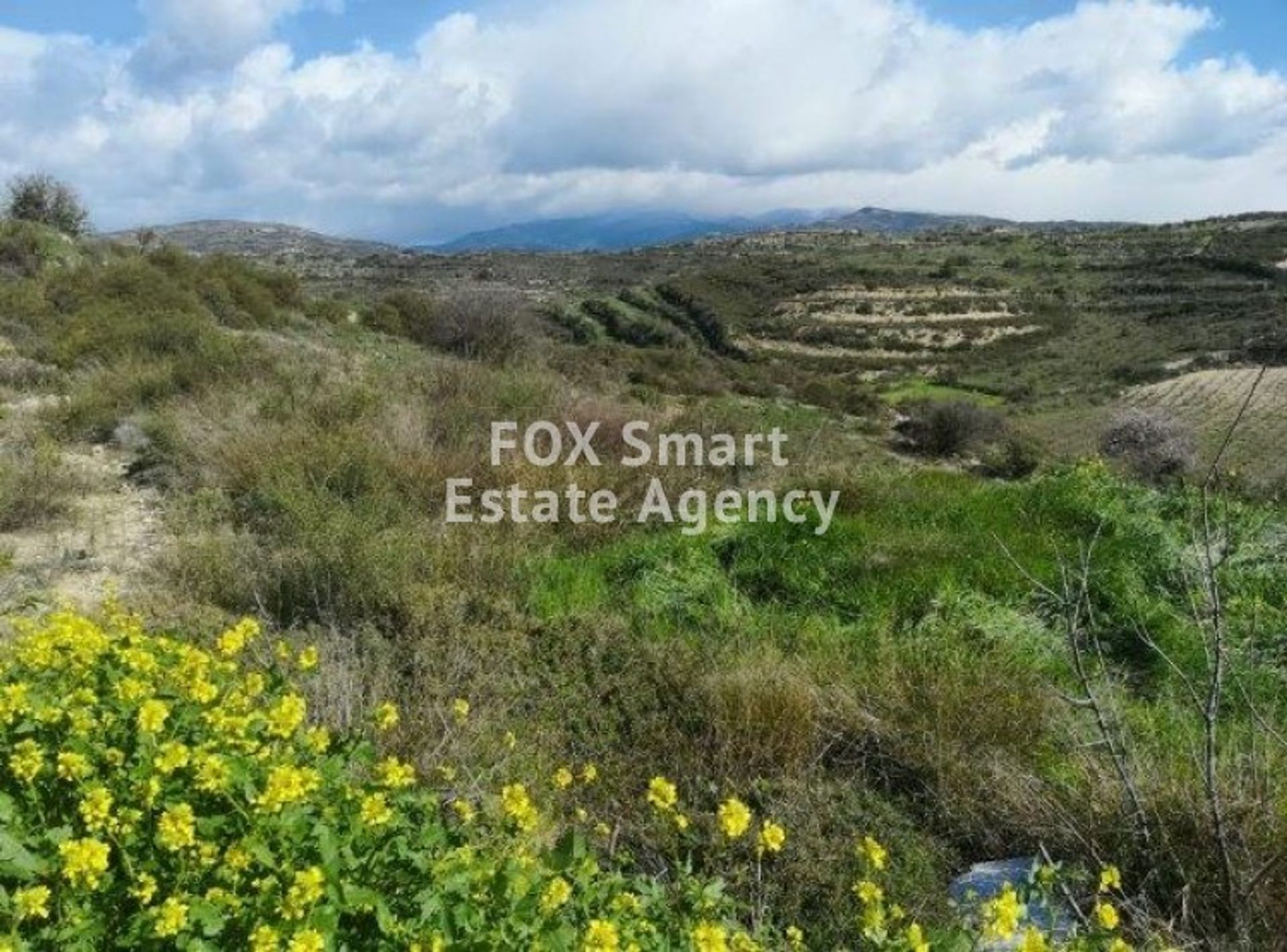 Land im Kissousa, Limassol 10785730