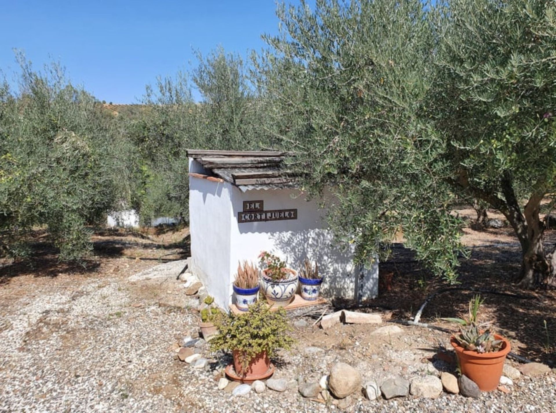 loger dans Coín, Andalucía 10785843