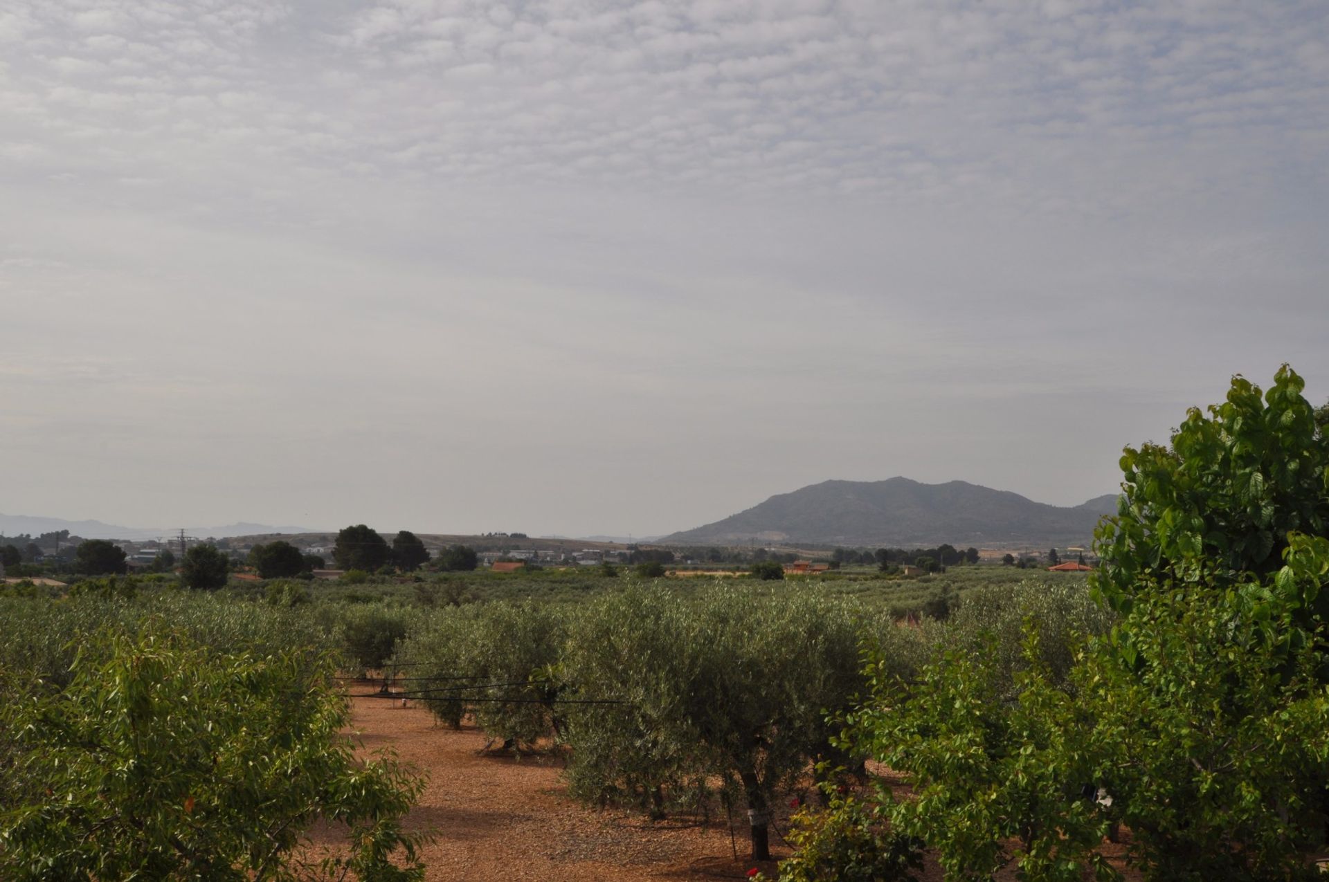 Rumah di Toledo, Castile-La Mancha 10786047