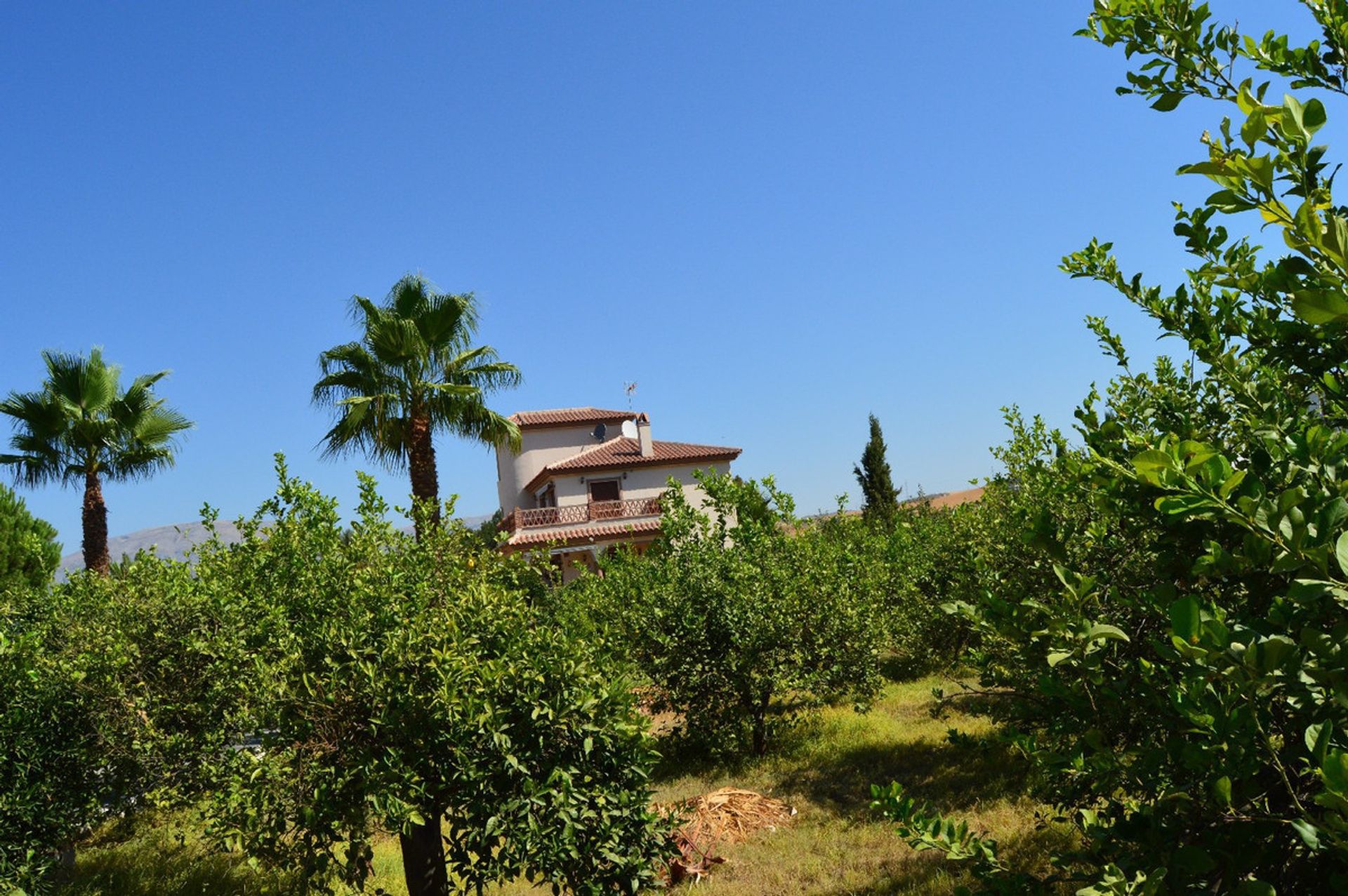 rumah dalam Carratraca, Andalusia 10786166