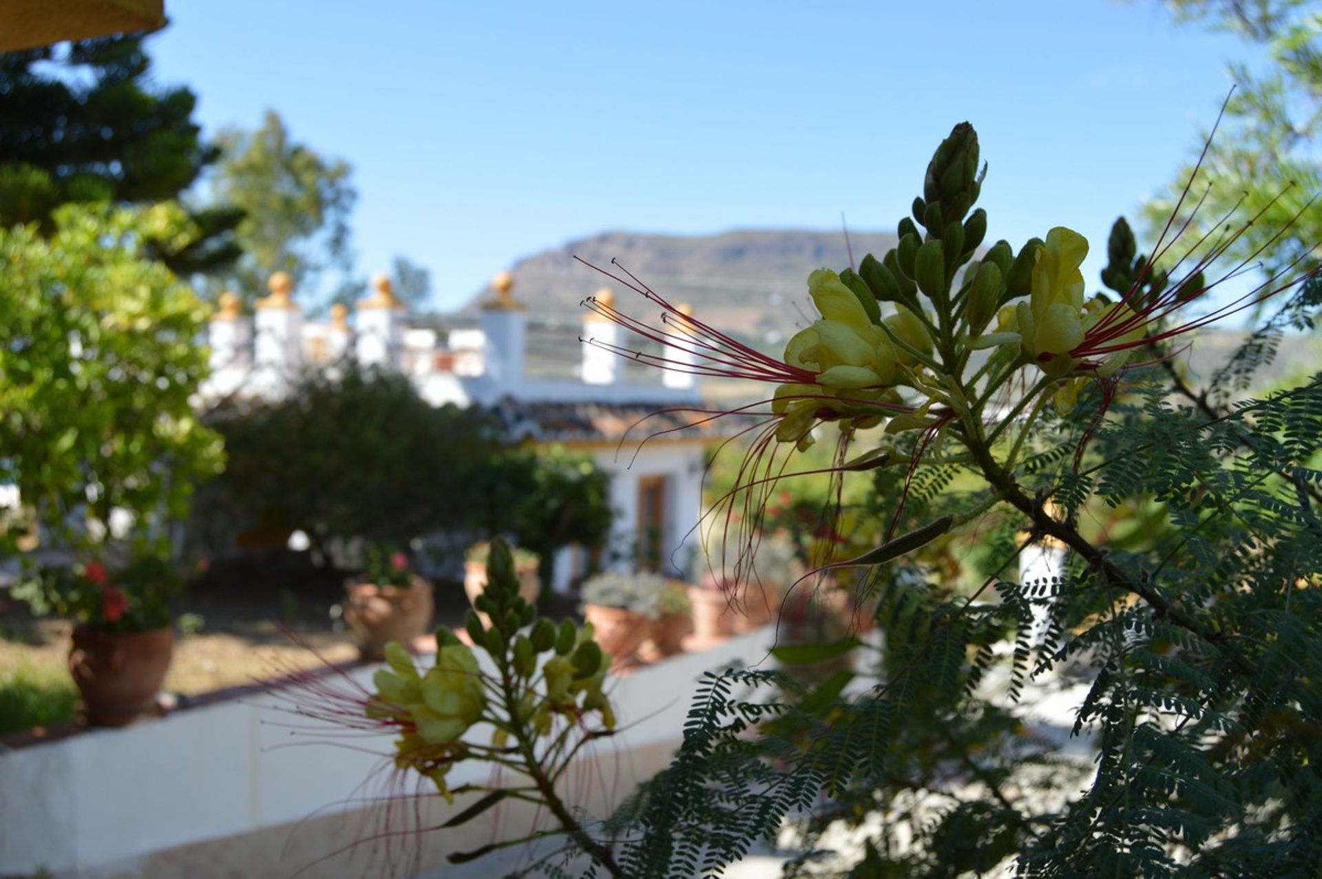 집 에 Álora, Andalucía 10786178