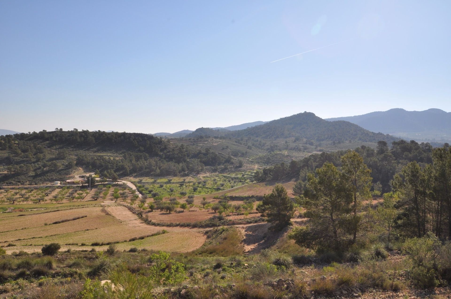 Terra no Pinoso, Valência 10786230