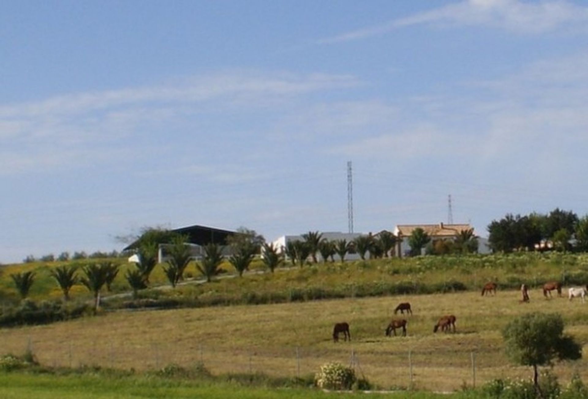 집 에 Morón de la Frontera, Andalucía 10786423