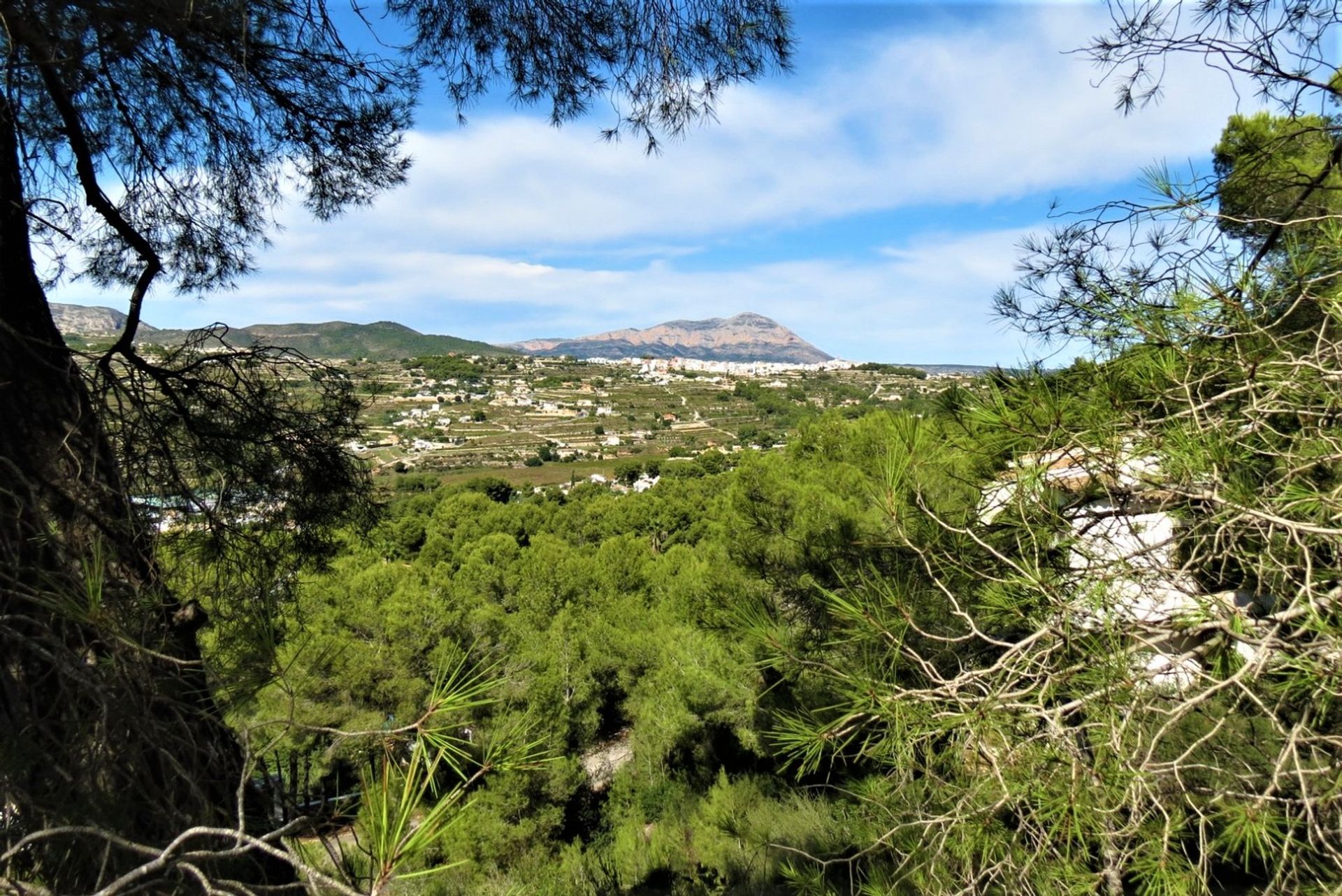 भूमि में El Poble Nou de Benitatxell, Comunidad Valenciana 10786657