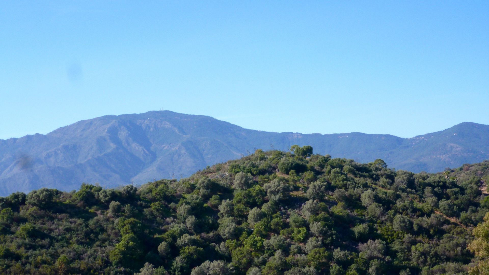 Terre dans San Pedro de Alcántara, Andalousie 10787496