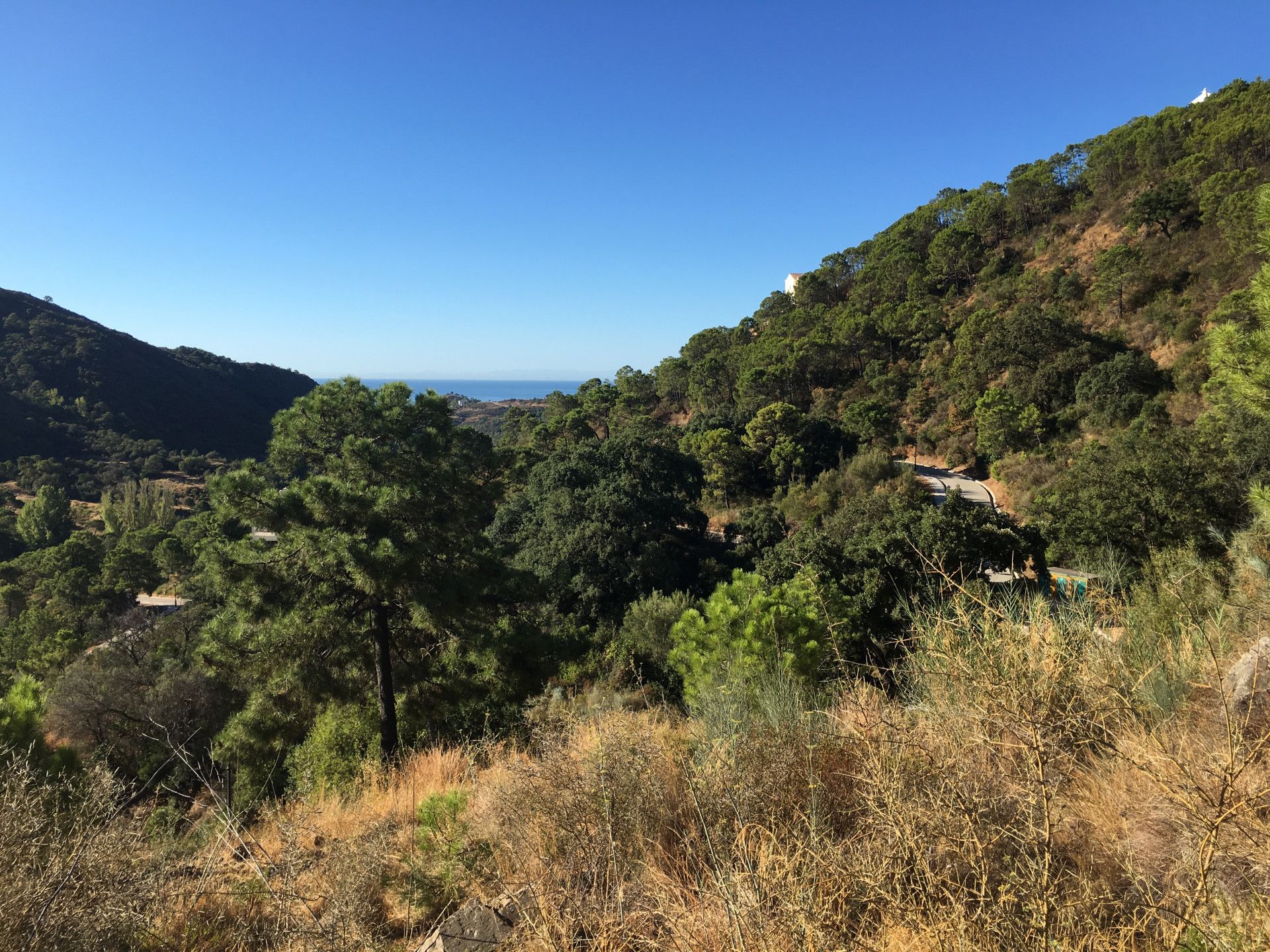 Terre dans Benahavís, Andalousie 10787500