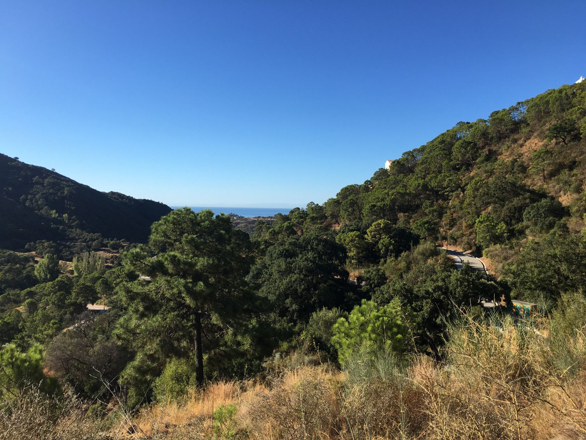 Terre dans Benahavís, Andalousie 10787500