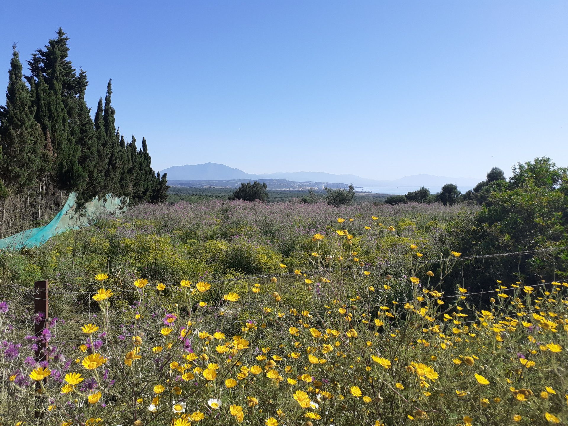 casa en La Alcaidesa, Andalusia 10787703