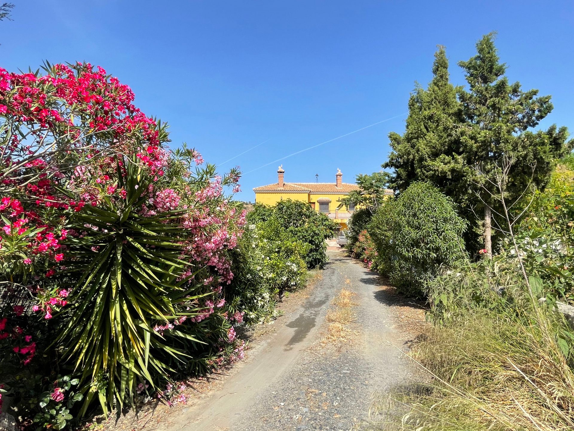 Hus i Villanueva de la Concepción, Andalusia 10787736