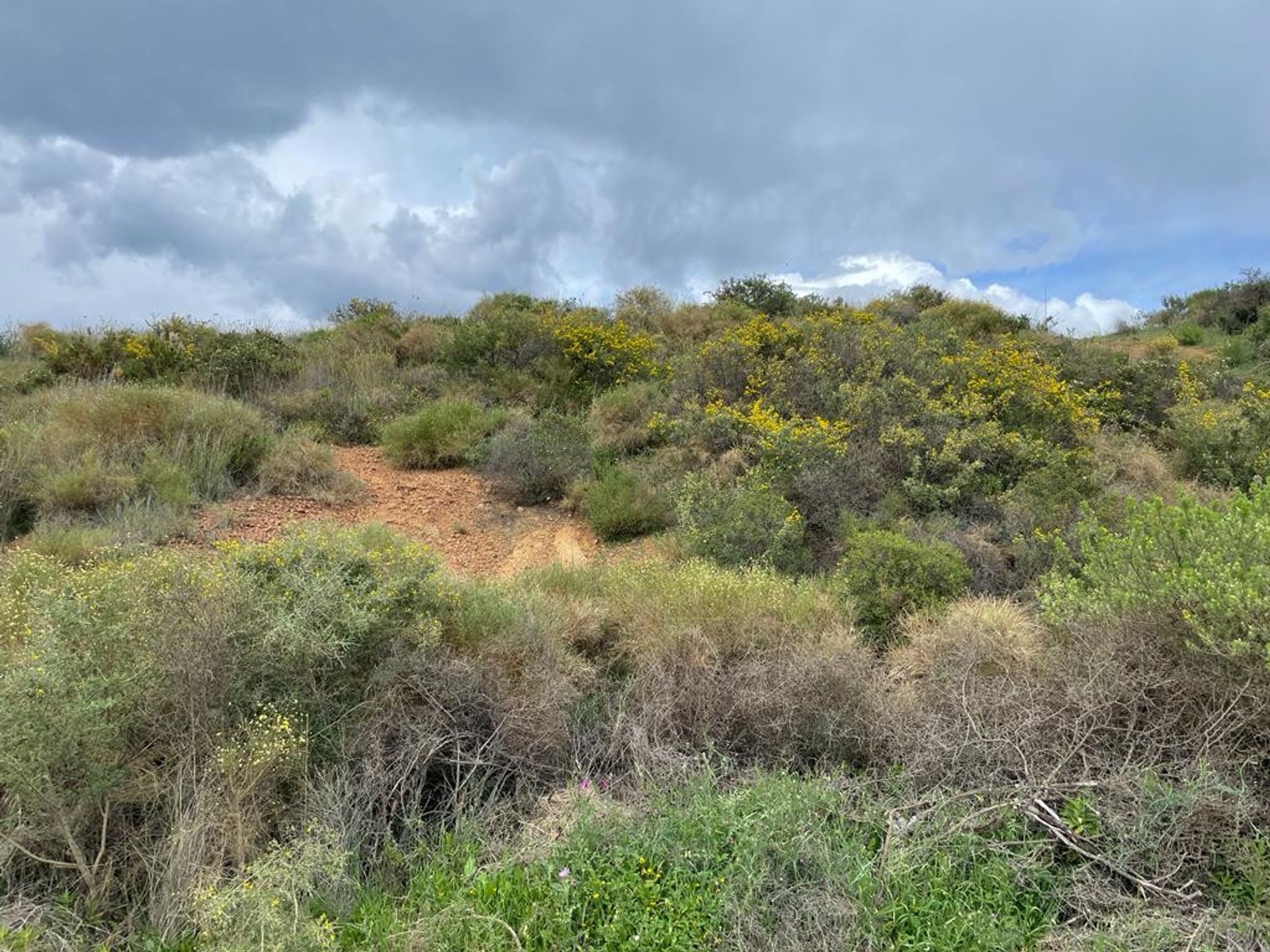 Maa sisään La Cala de Mijas, Andalucía 10787953