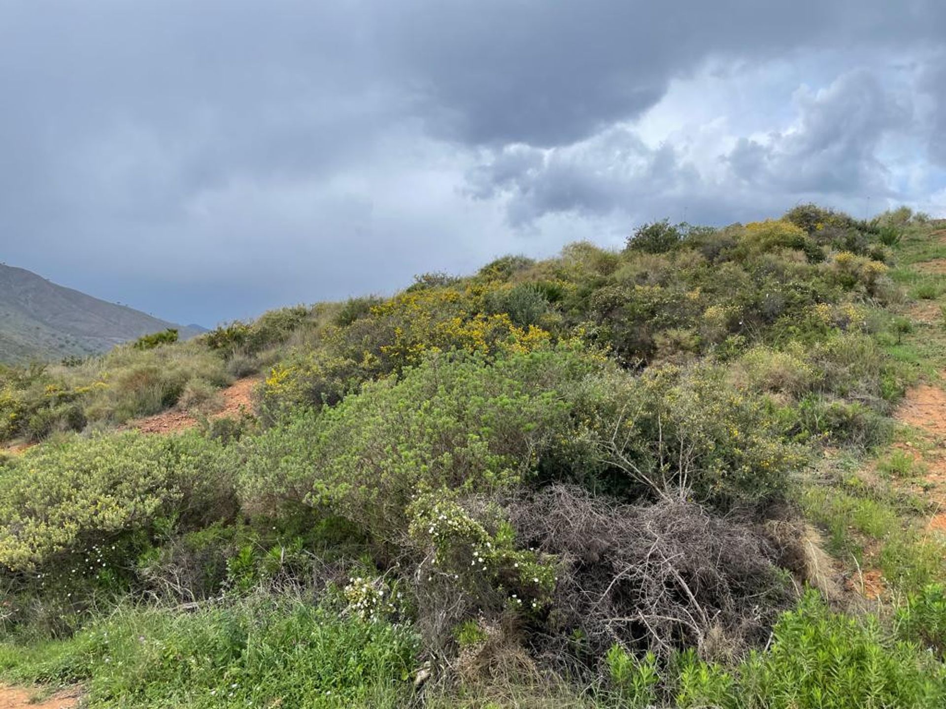 Tanah di Fuengirola, Andalusia 10787953