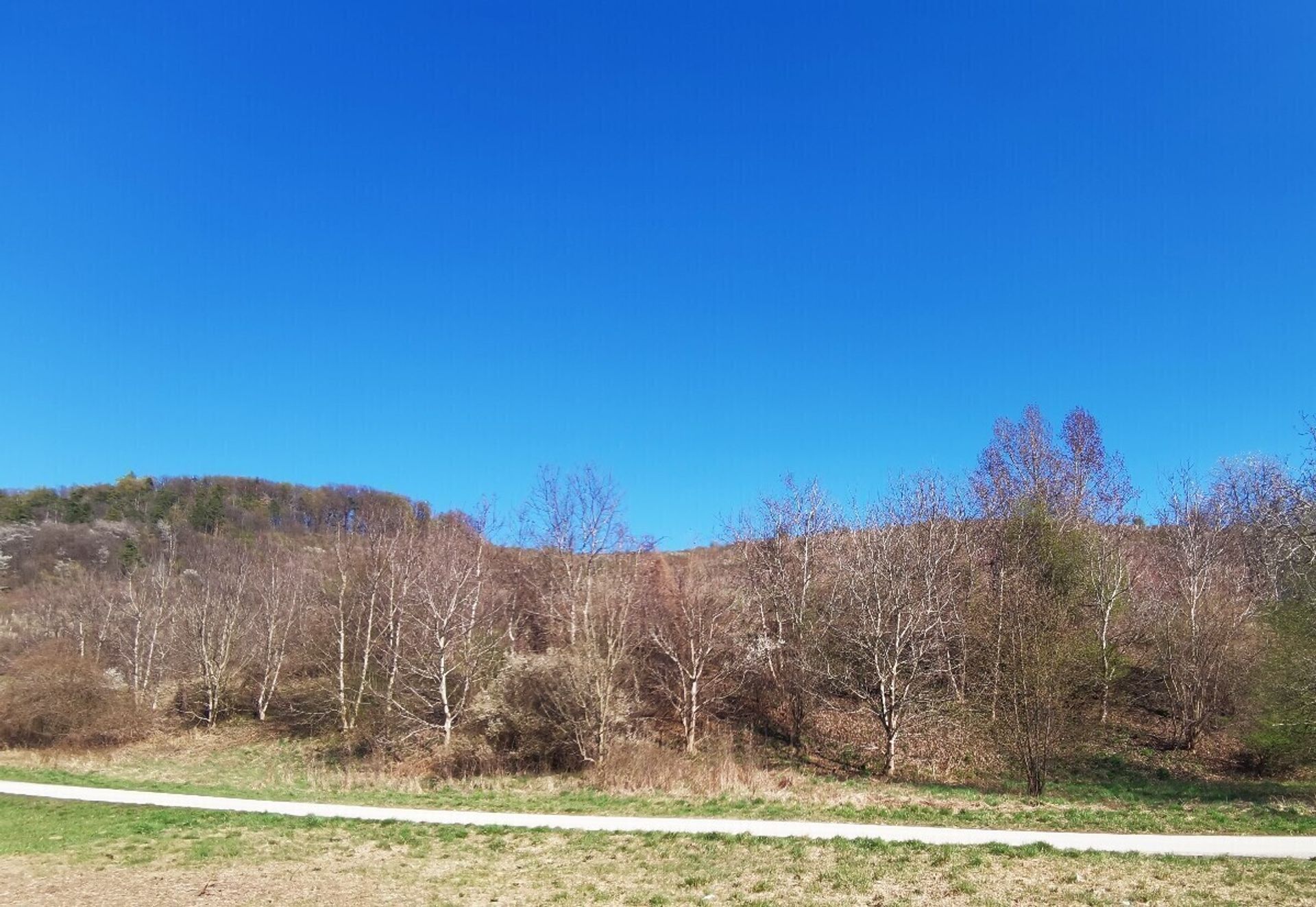 Land in Zagorje, Zagorje ob Savi 10788865