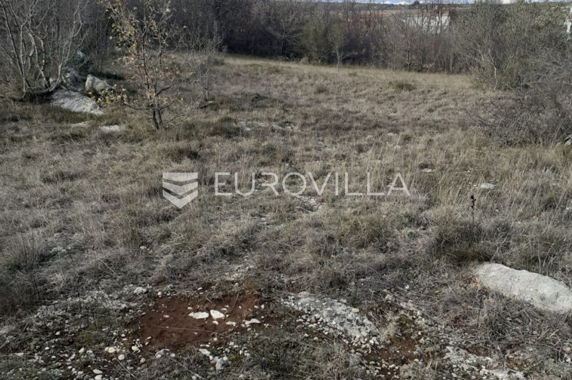 Land im Novigrad, Zadarska Zupanija 10791579