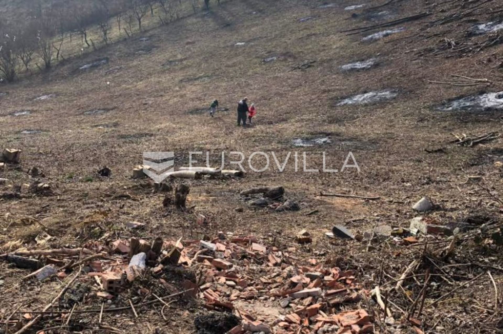 Tanah di Brezje, Zagrebačka županija 10791714